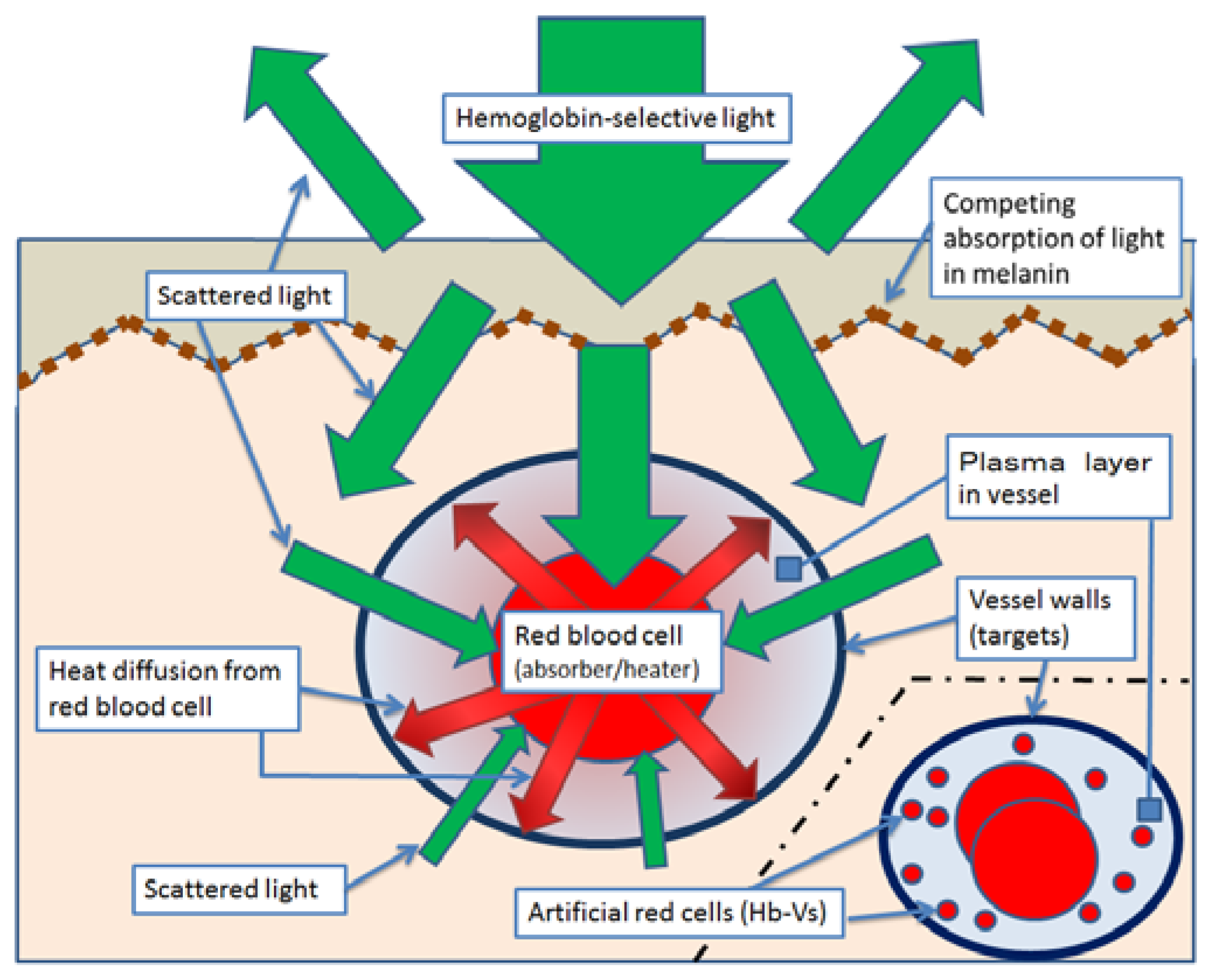 Jfb 08 00014 sch001 550
