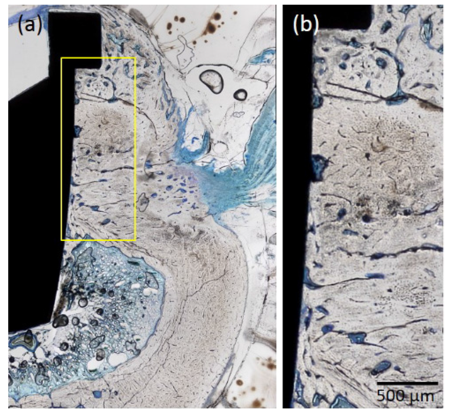 Jfb 08 00016 g006 550