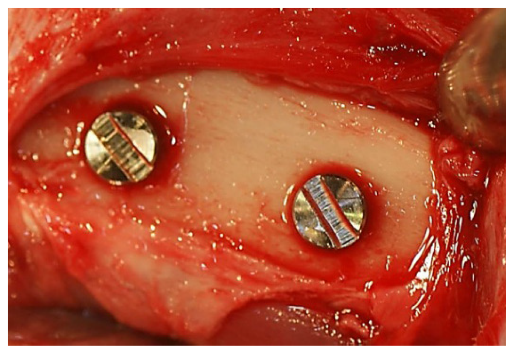 Jfb 08 00016 g008 550