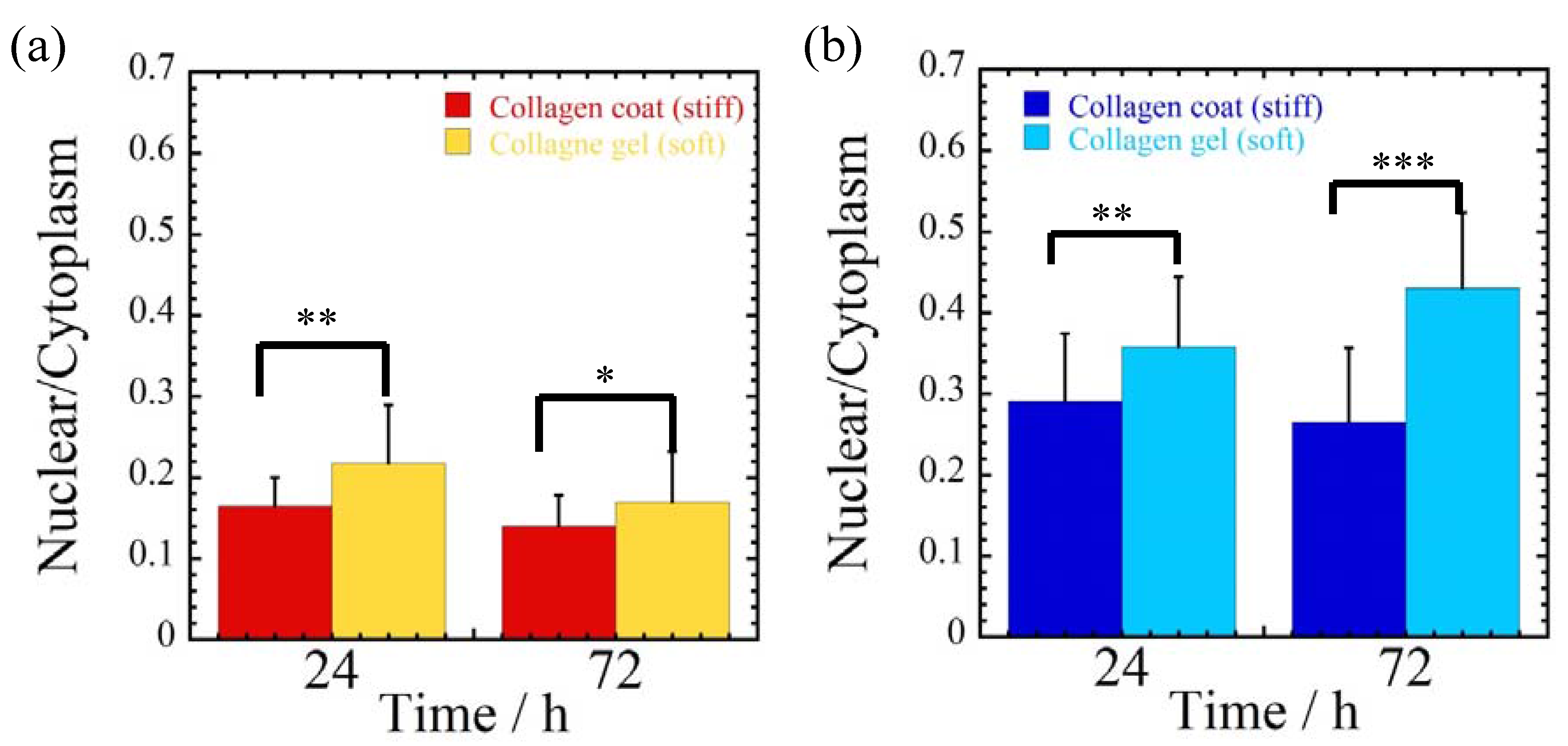 Jfb 08 00018 g002 550