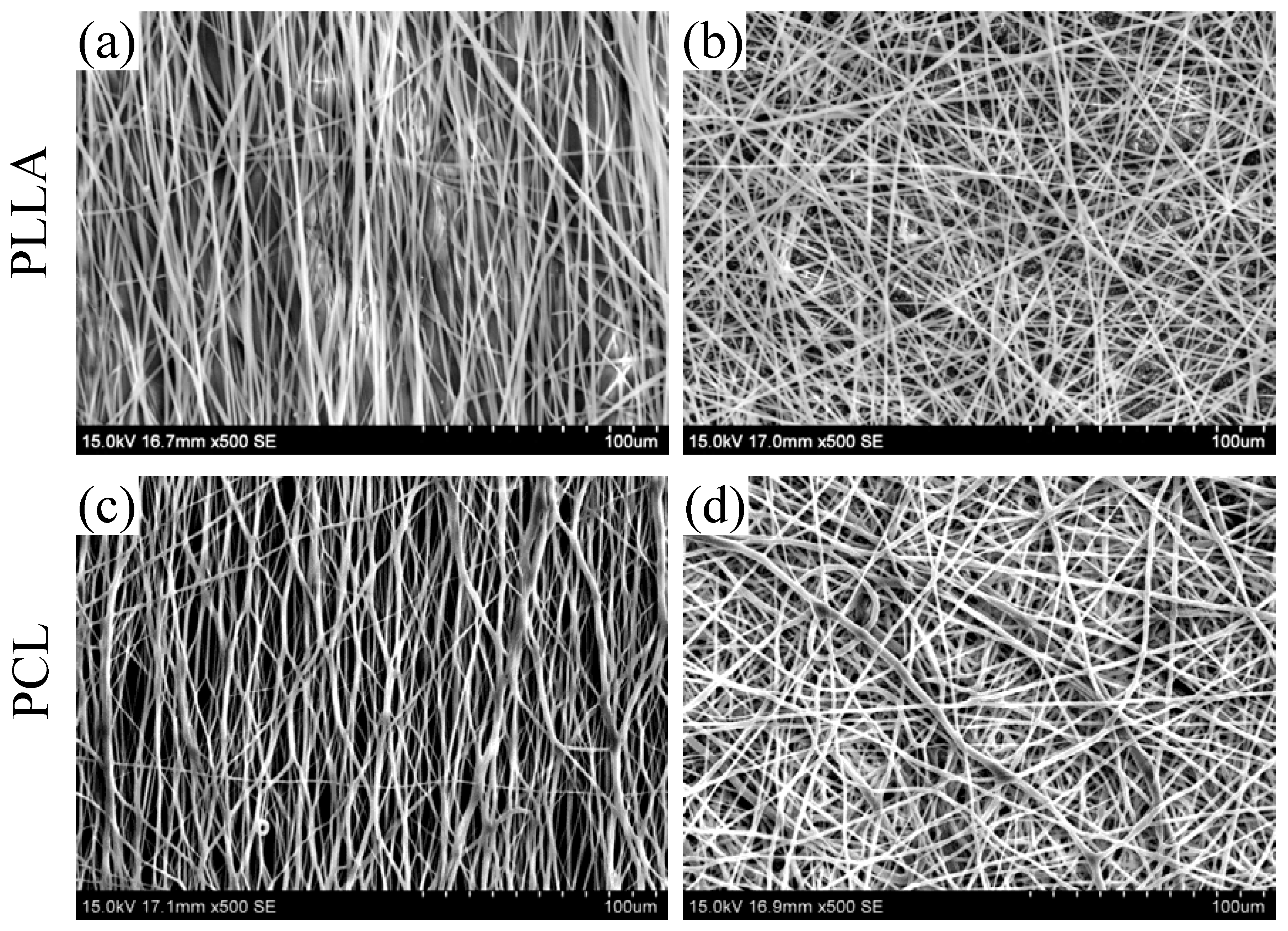 Jfb 08 00018 g005 550