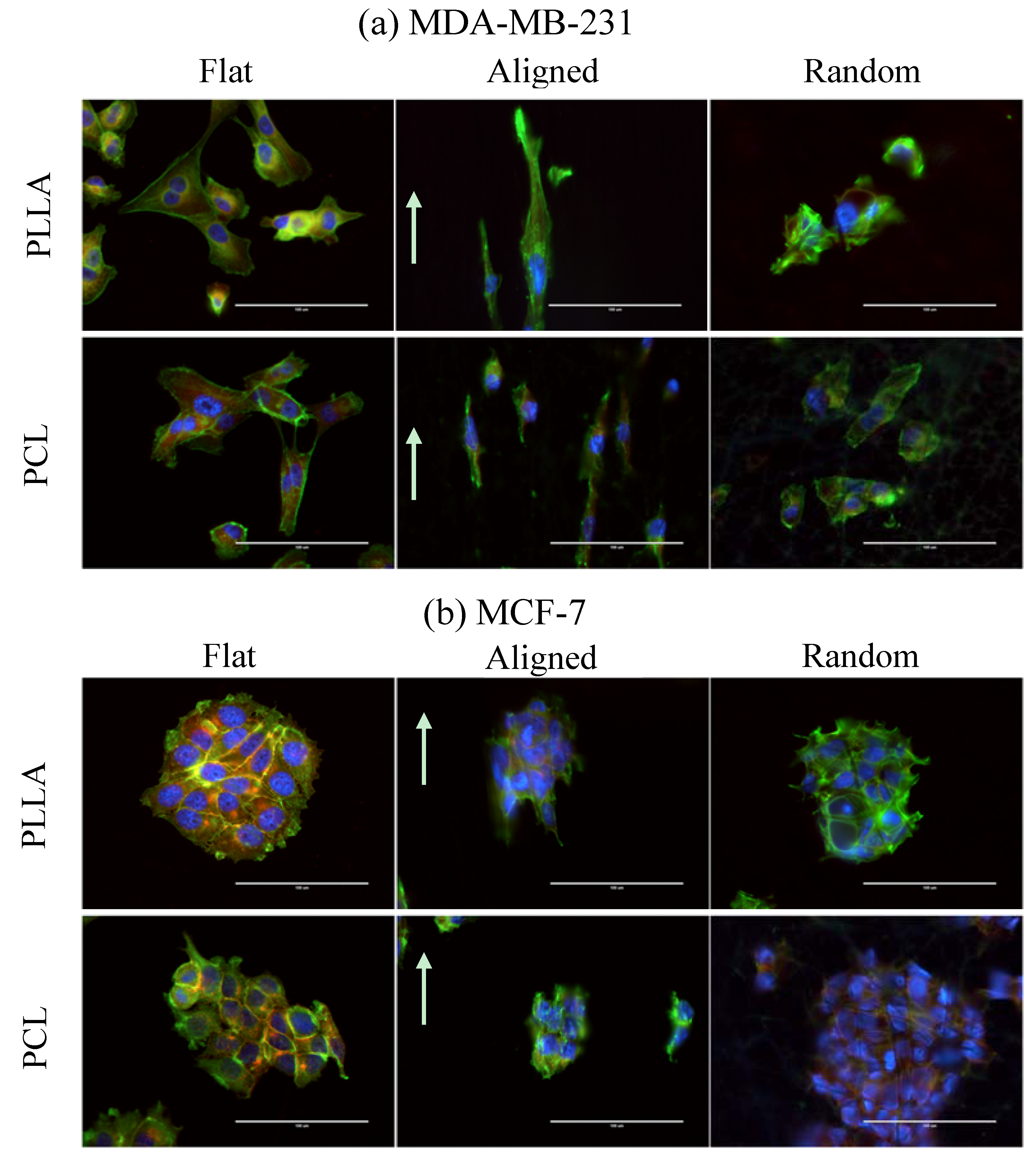 Jfb 08 00018 g006 550