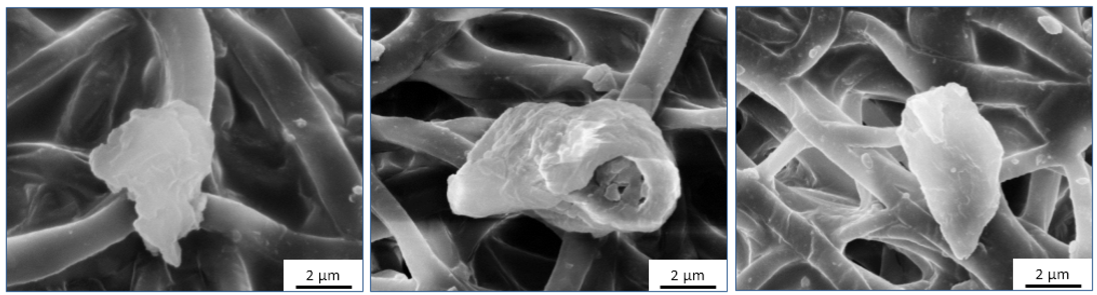 Jfb 08 00022 g009 550