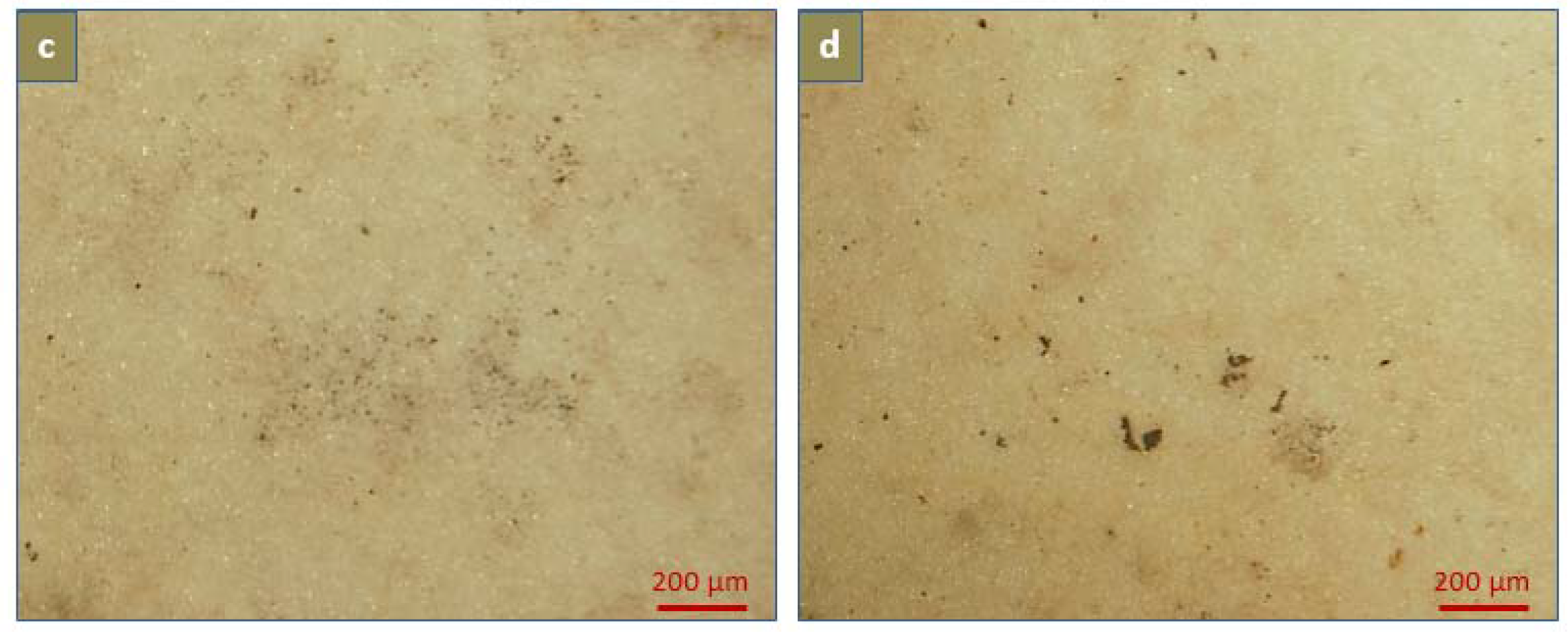 Jfb 08 00022 g010b 550