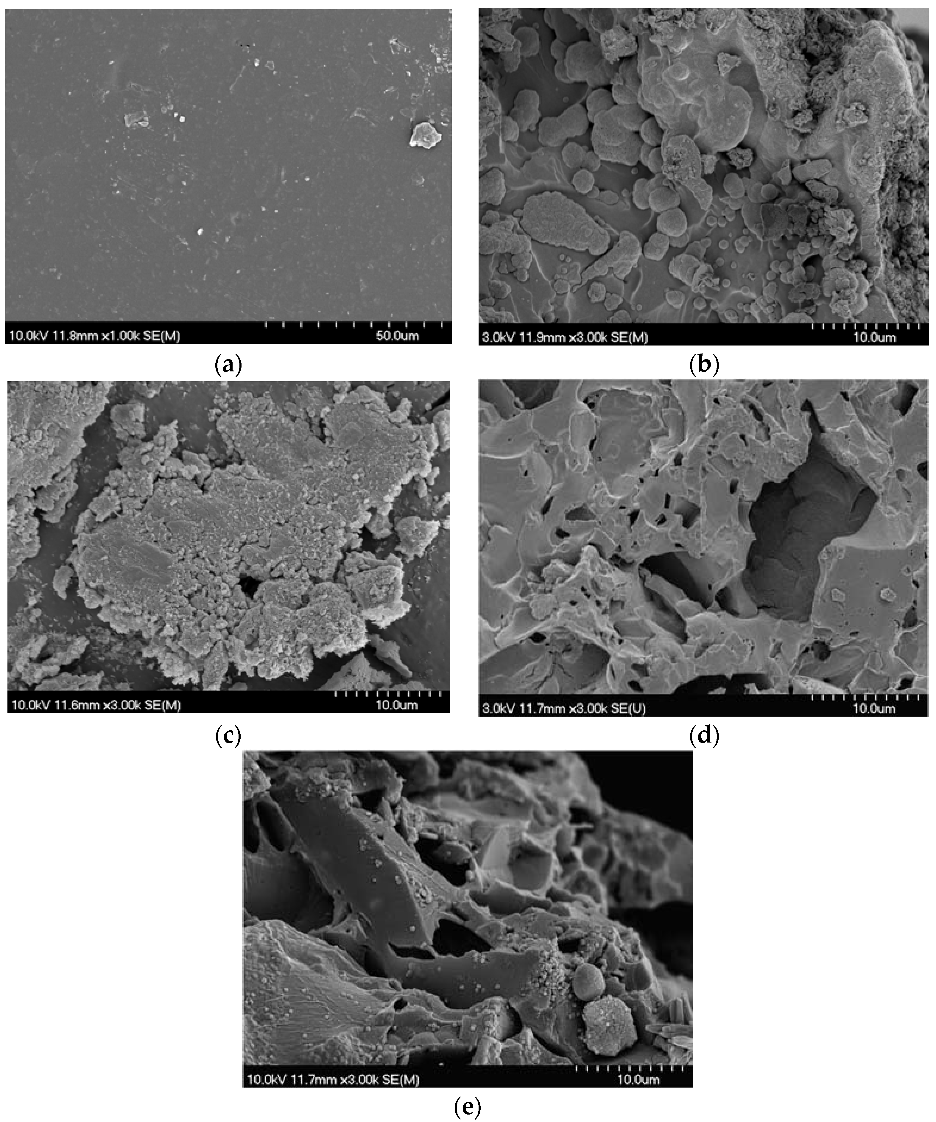 Jfb 08 00028 g008 550