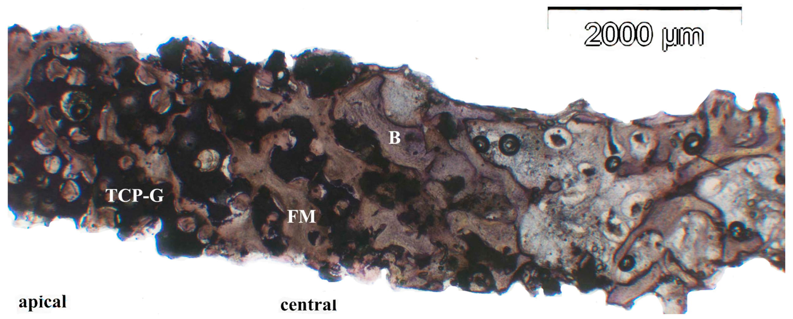 Jfb 08 00031 g005 550