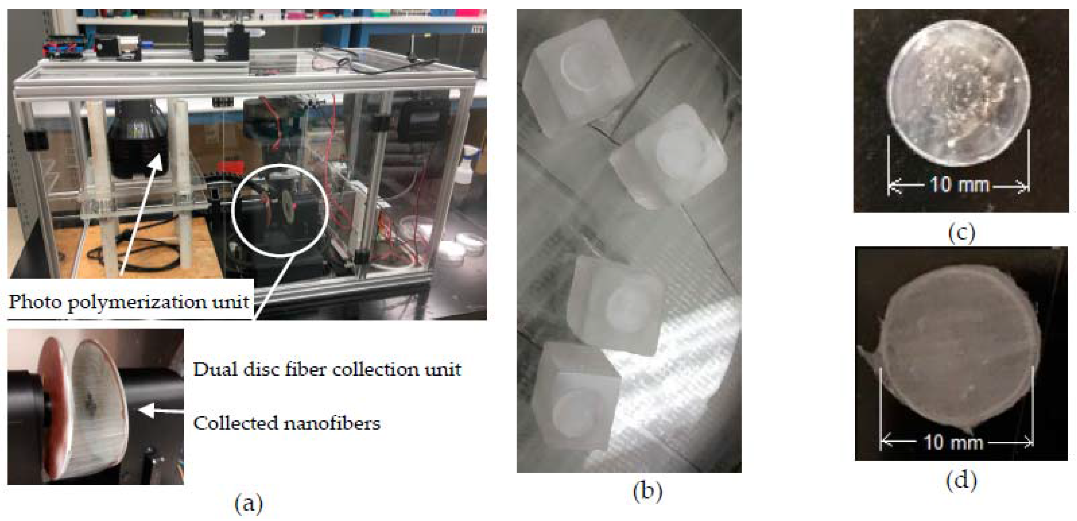 Jfb 08 00039 g002 550