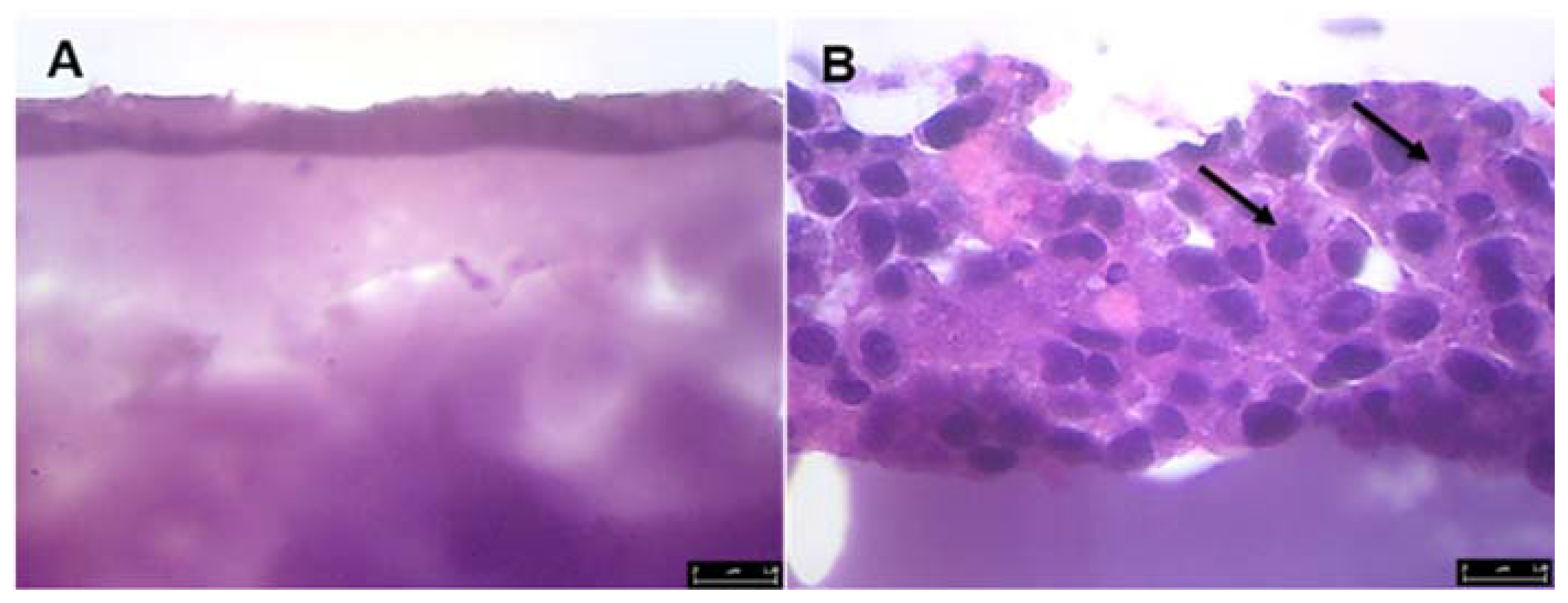 Jfb 08 00039 g010 550