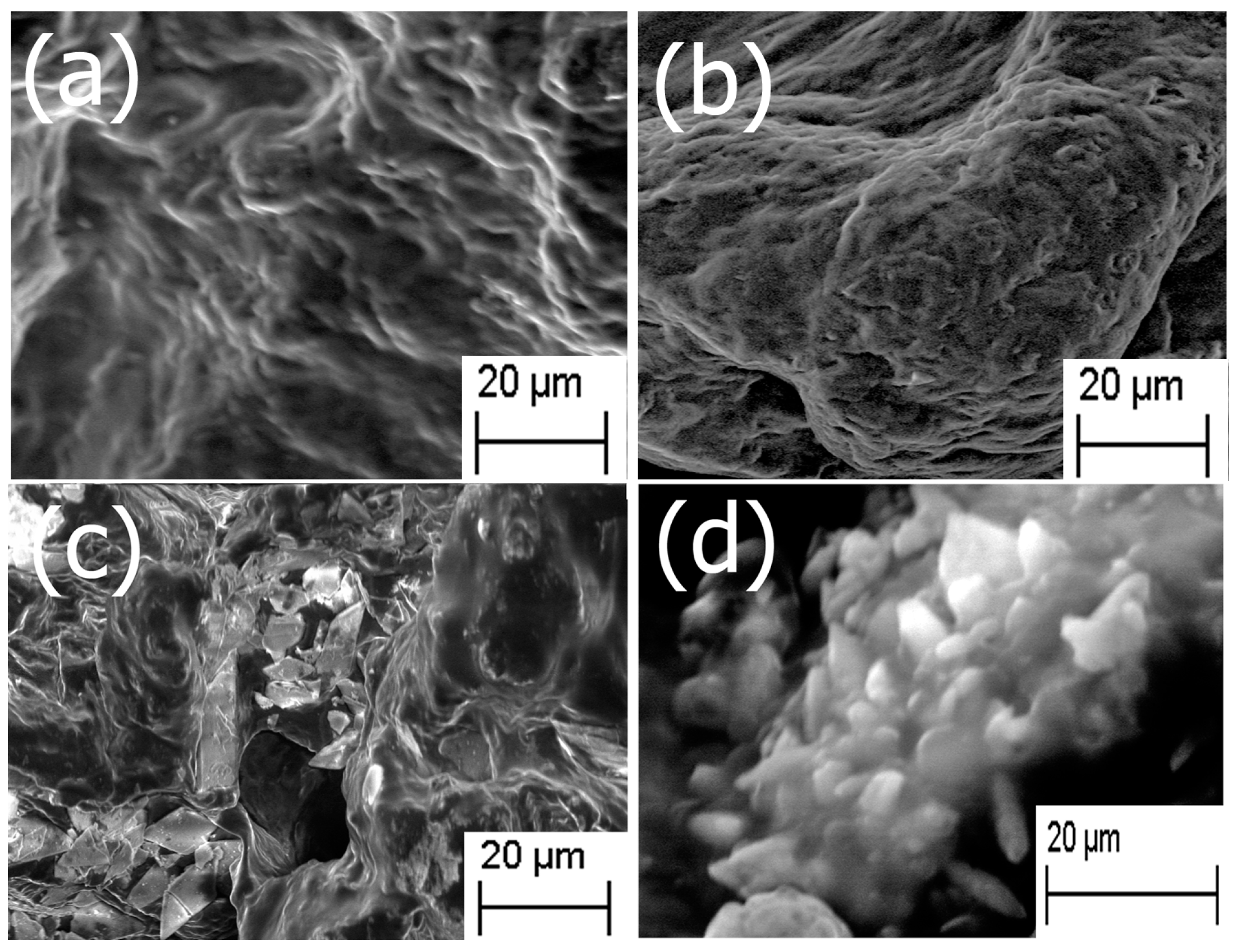 Jfb 08 00041 g001 Jfb 08 00041 g001