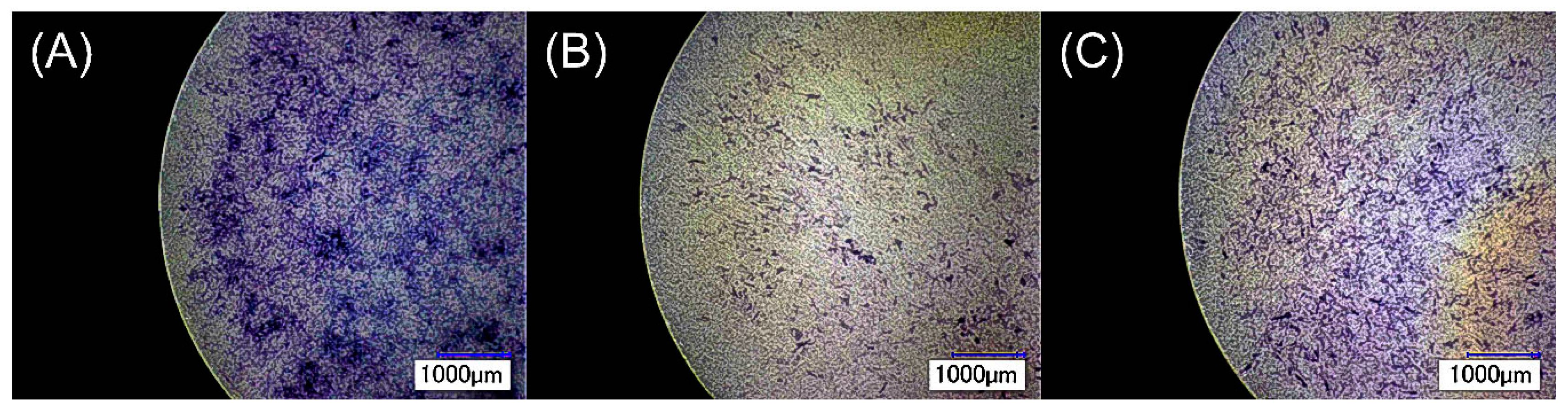 Jfb 08 00050 g005 550