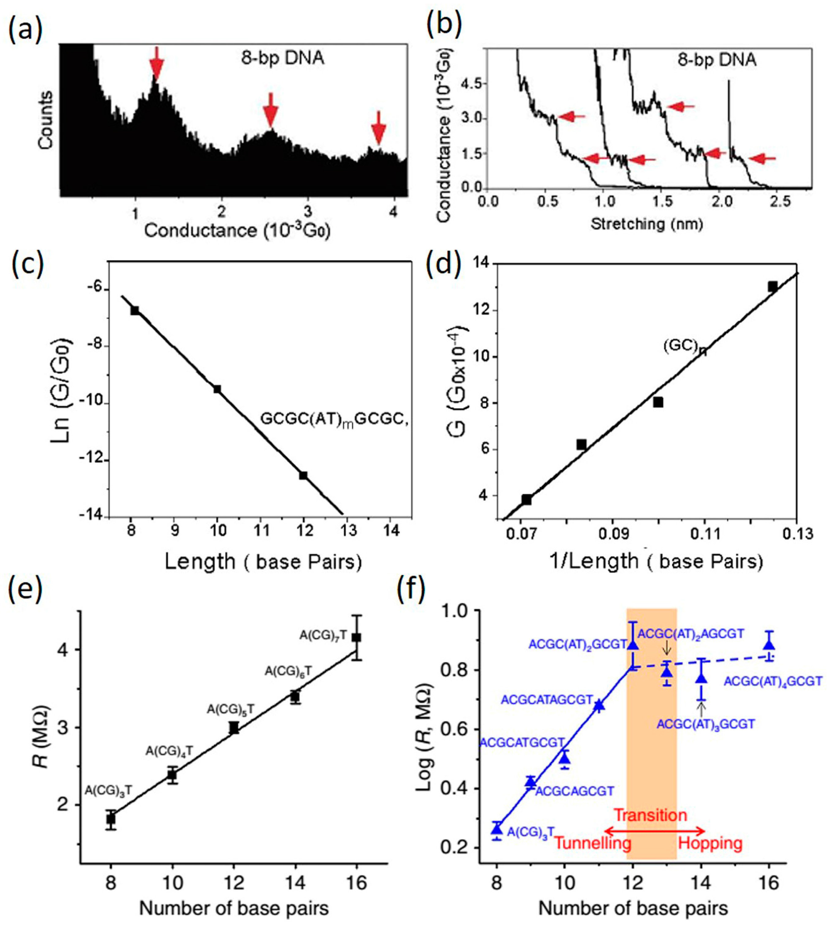 Jfb 09 00008 g007 Jfb 09 00008 g007