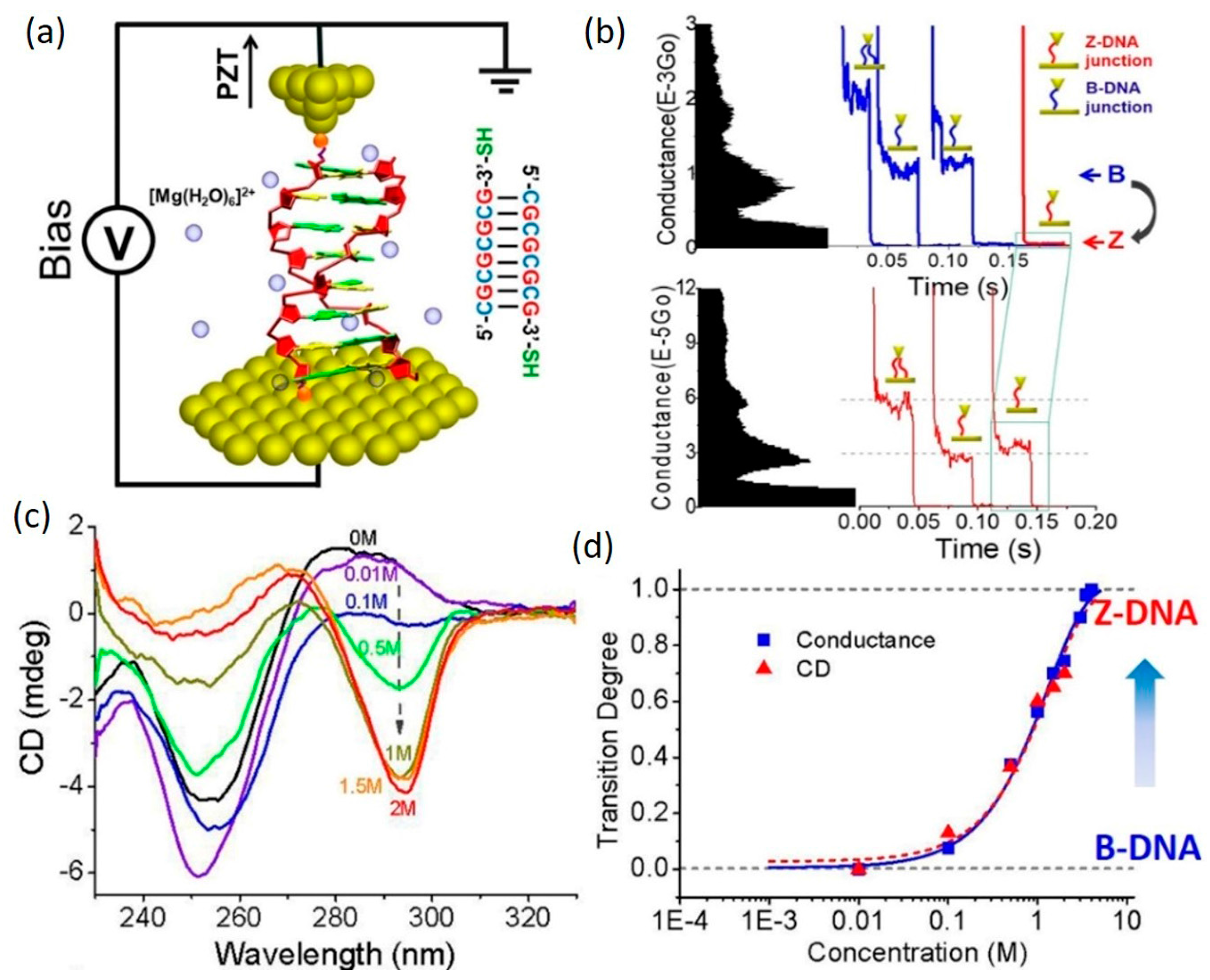 Jfb 09 00008 g009 Jfb 09 00008 g009