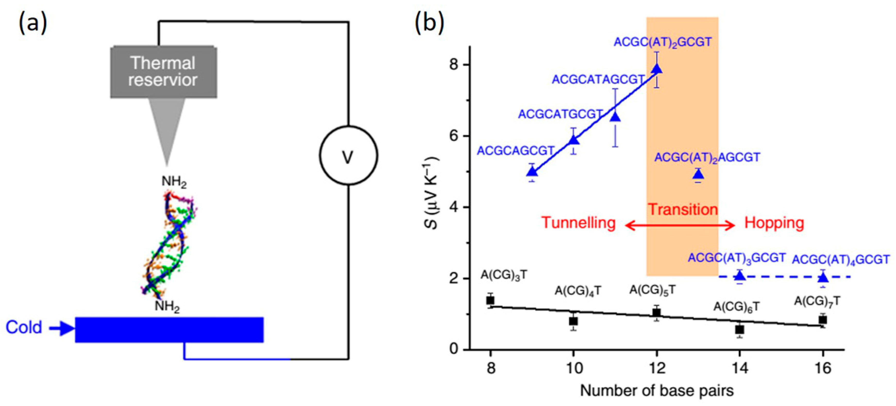 Jfb 09 00008 g021 Jfb 09 00008 g021