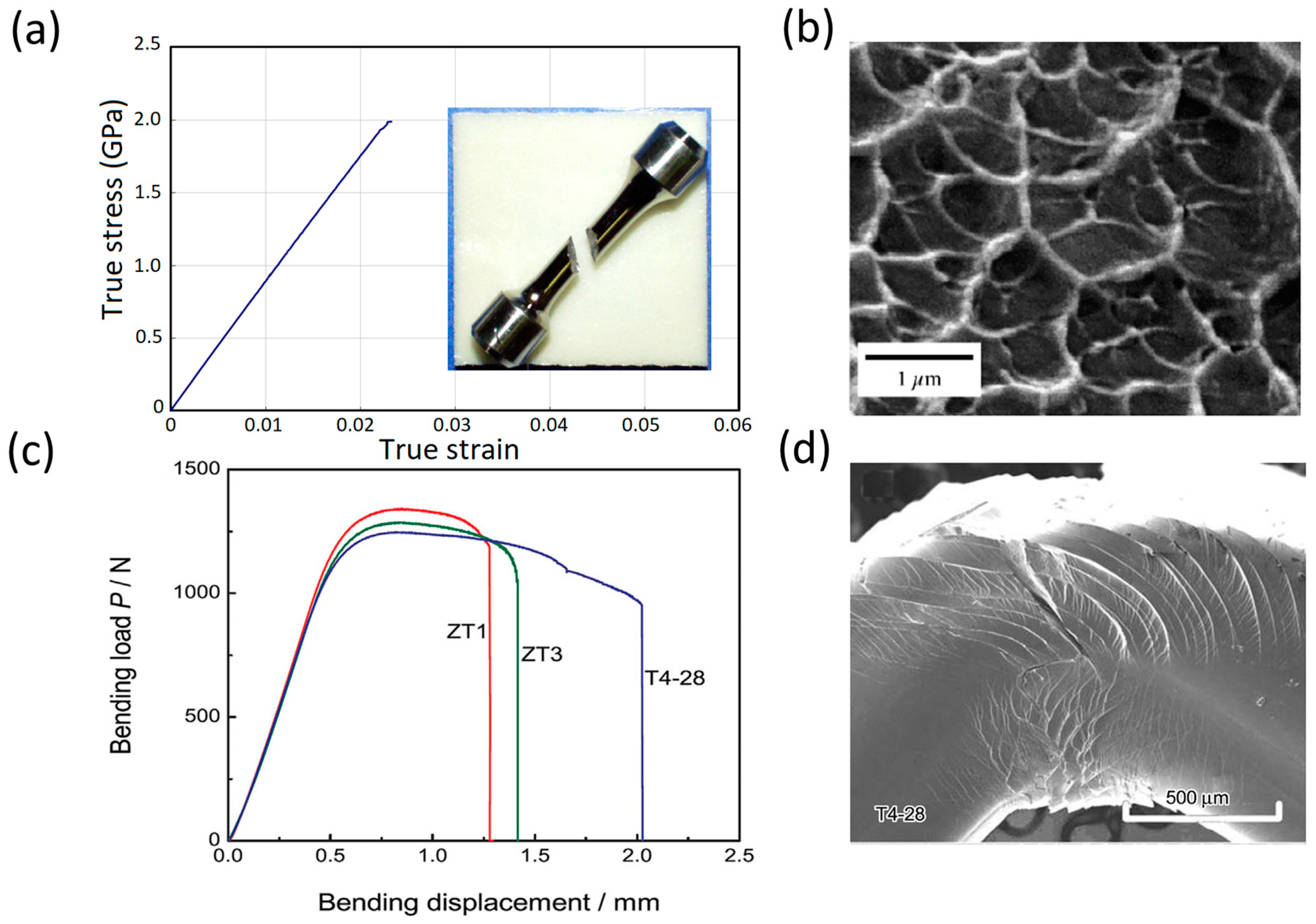 Jfb 09 00019 g005 Jfb 09 00019 g005