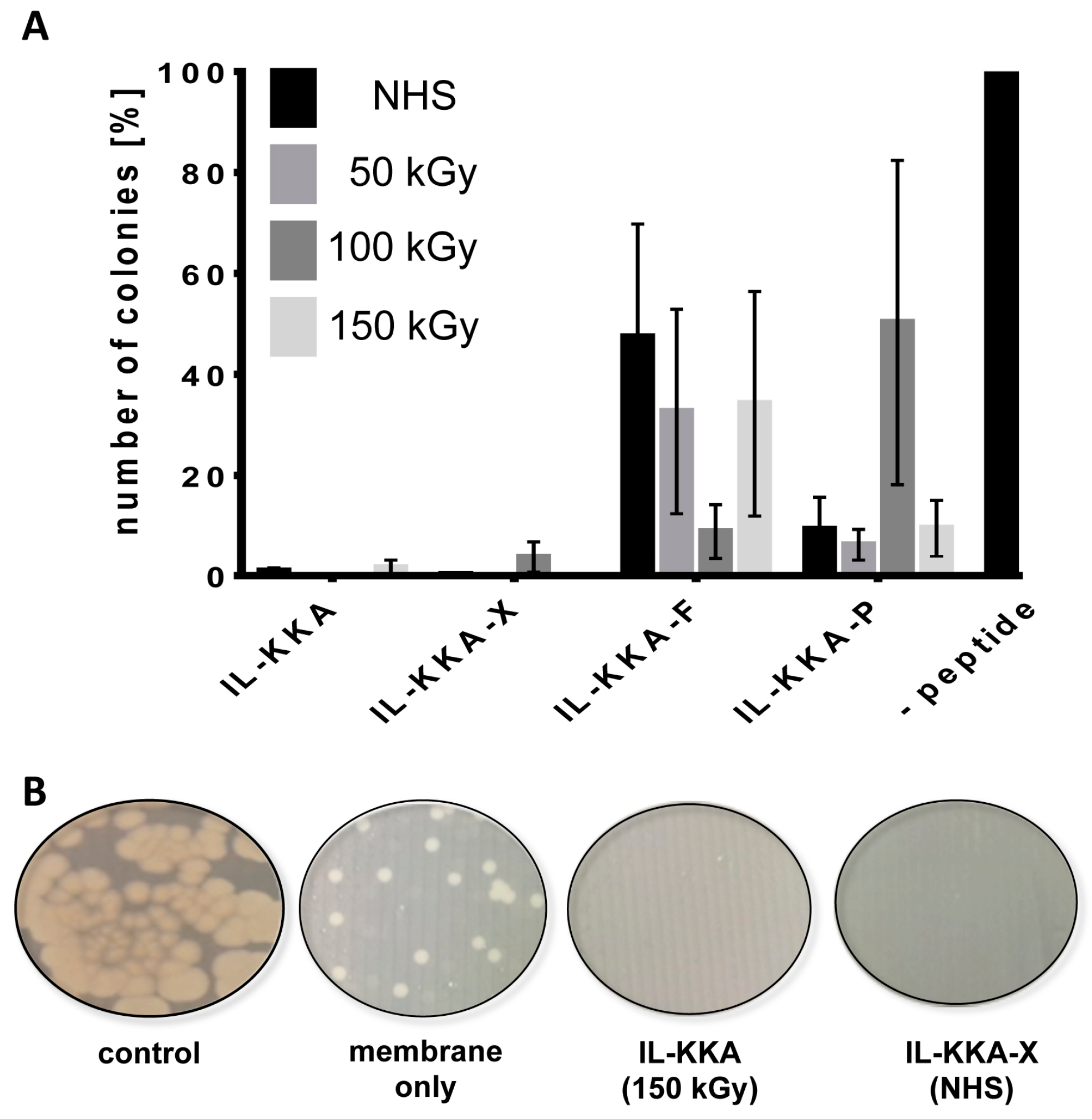 Jfb Free Full Text Electron Beam Immobilization Of Novel Antimicrobial Short Peptide Motifs Leads To Membrane Surfaces With Promising Antibacterial Properties Html