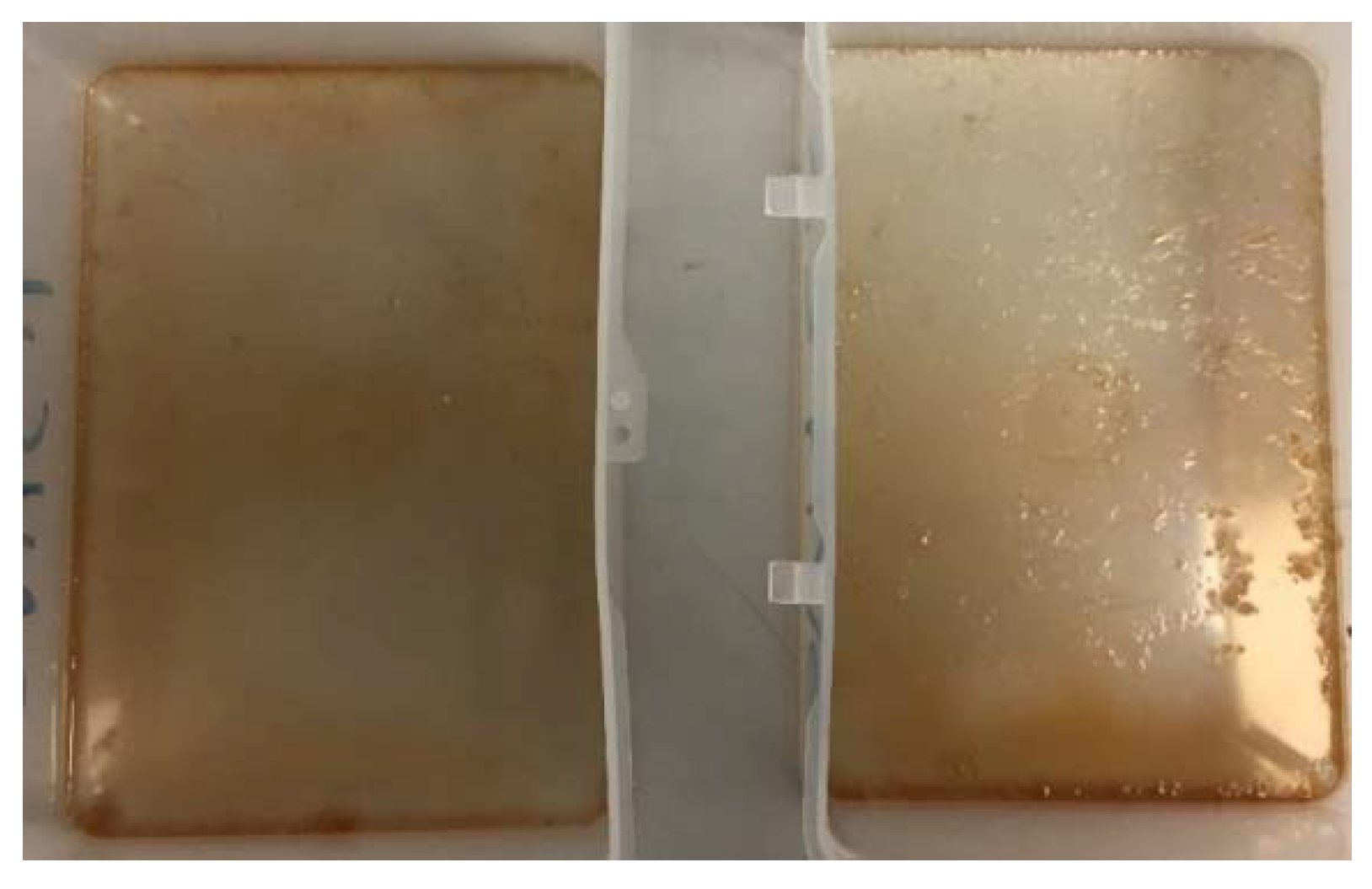 Jfb 09 00037 g001 550