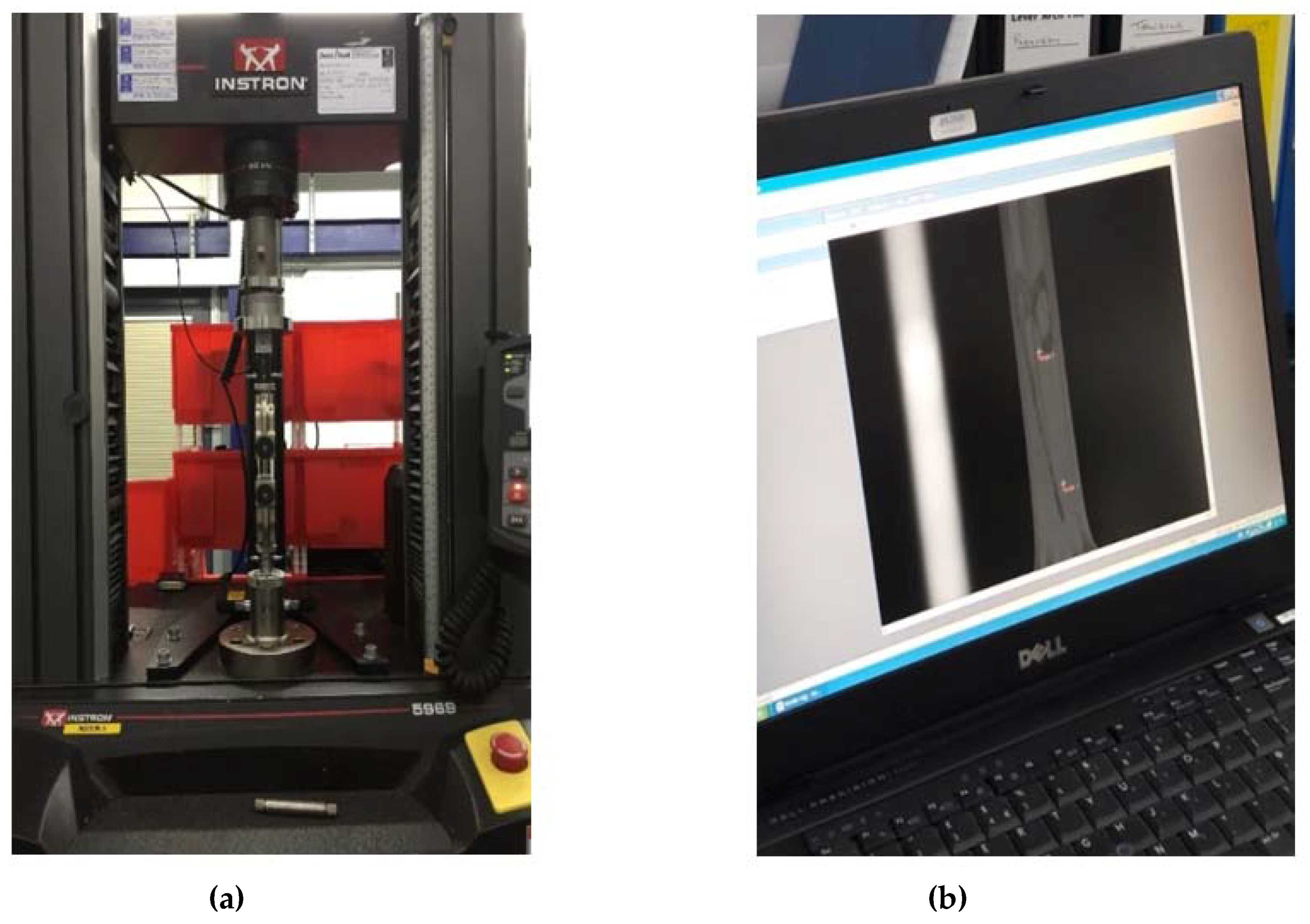 Jfb 09 00037 g004 550