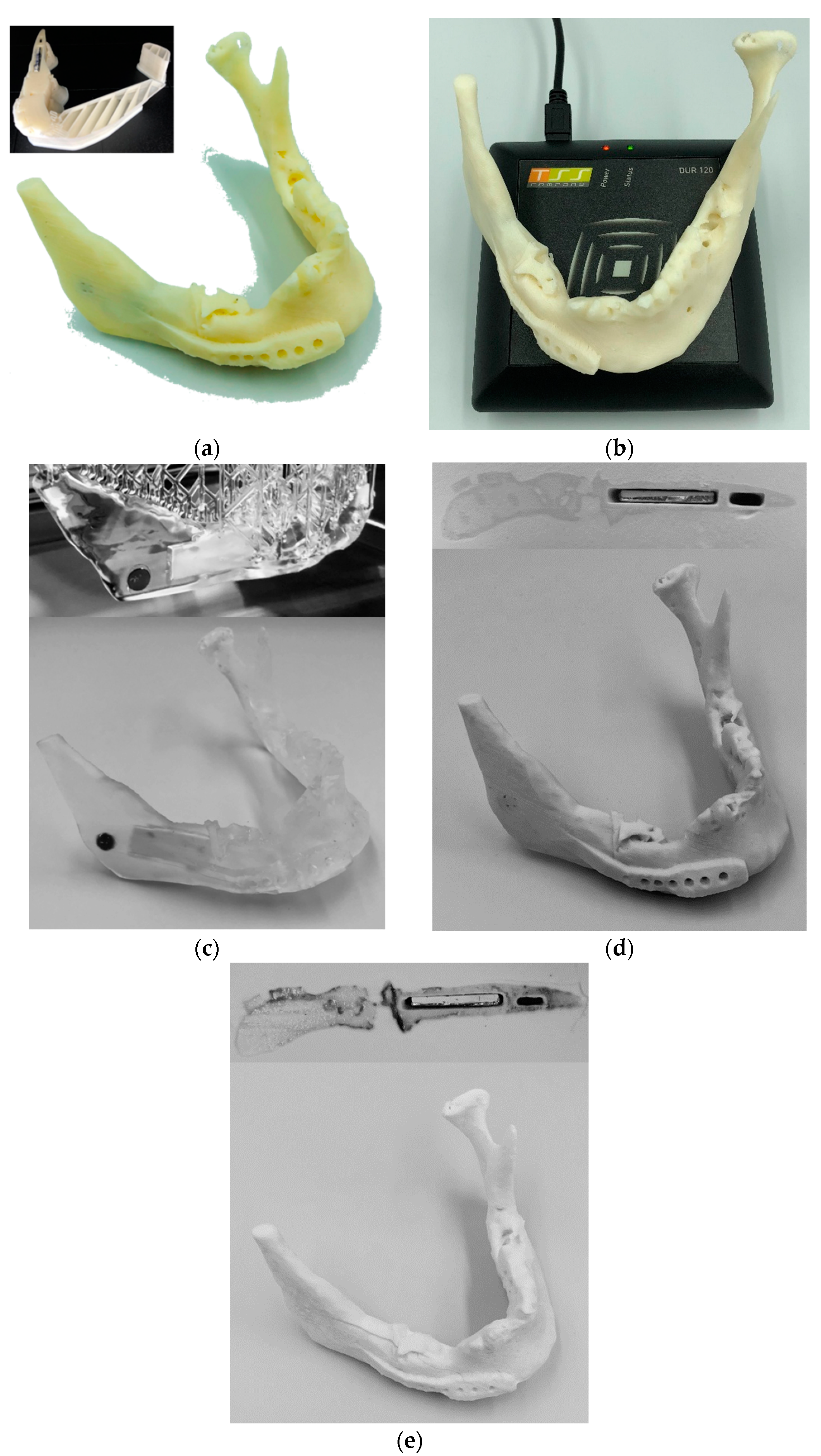 Jfb 09 00041 g001 Jfb 09 00041 g001