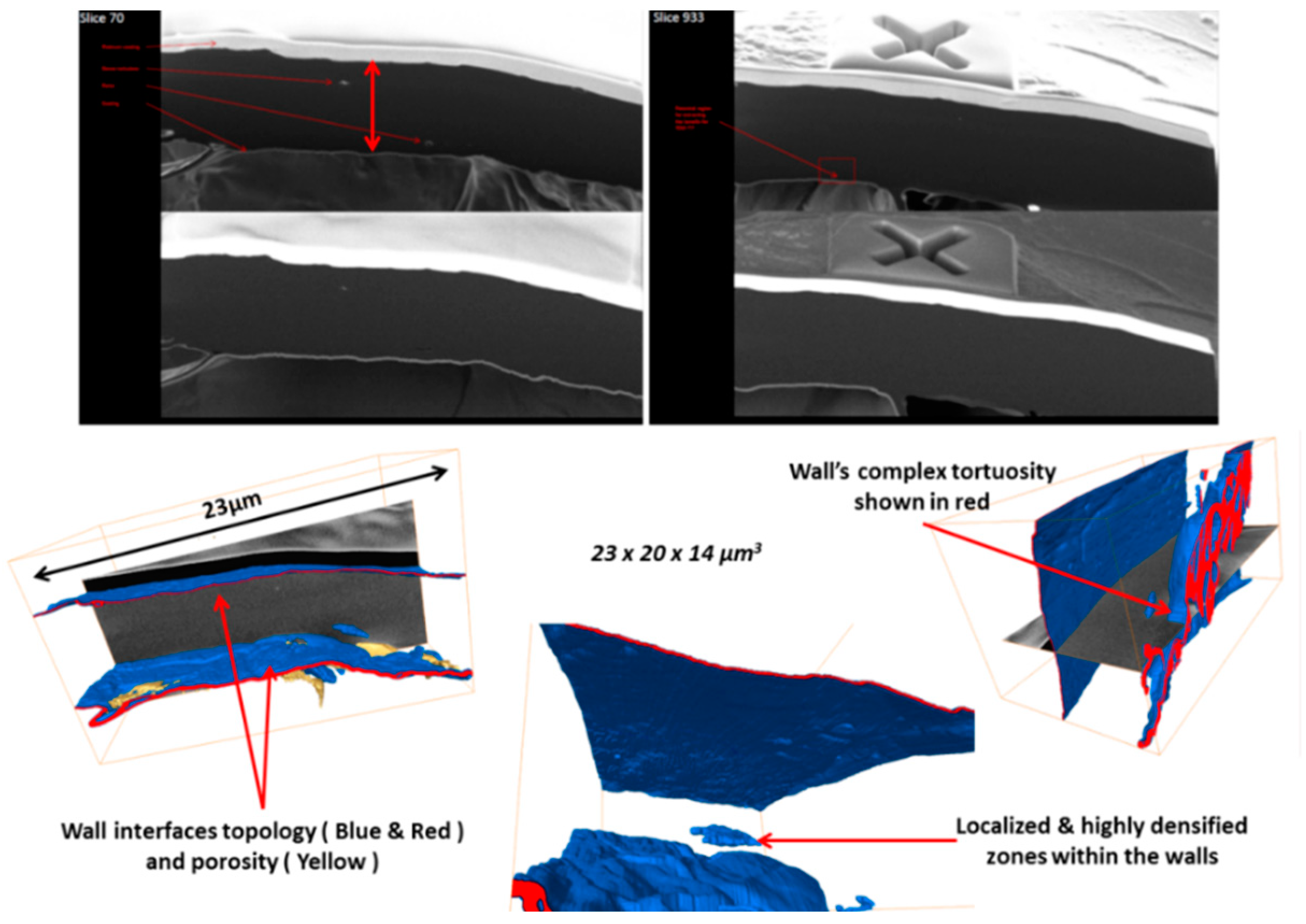 Jfb 09 00051 g005 Jfb 09 00051 g005