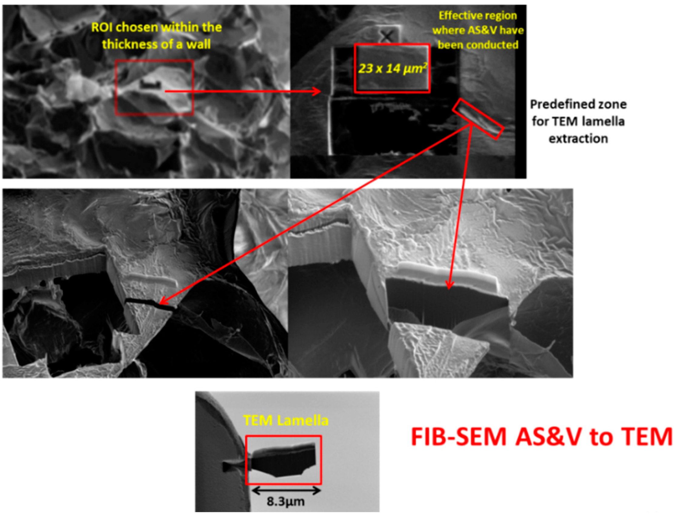 Jfb 09 00051 g006 Jfb 09 00051 g006