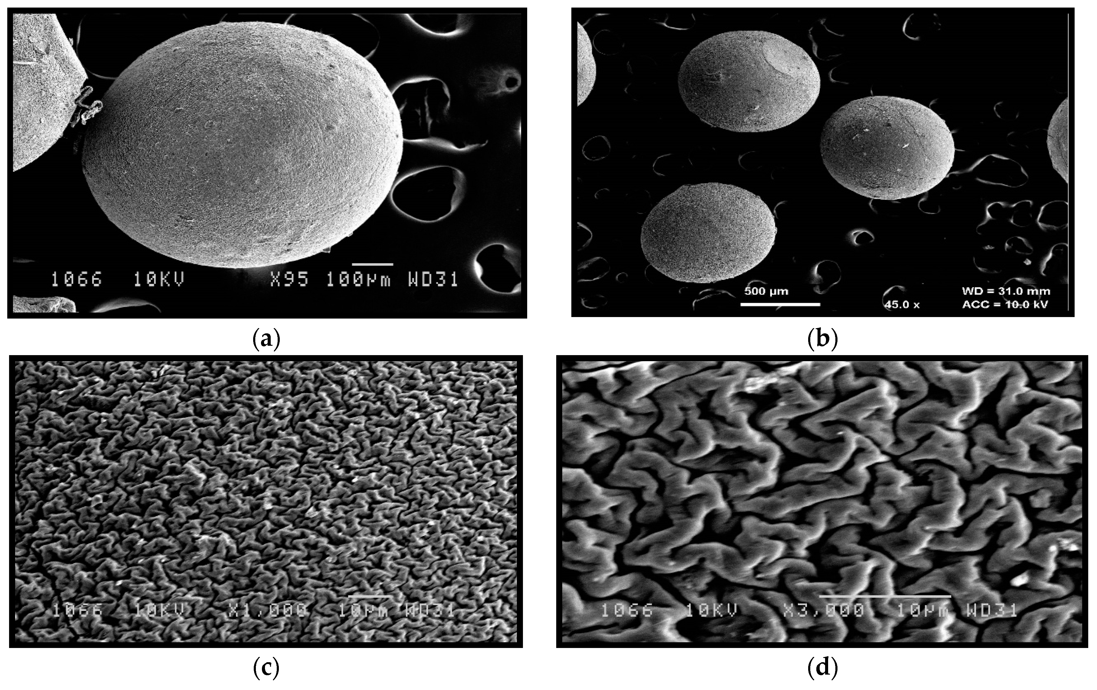 Jfb 09 00052 g004 550