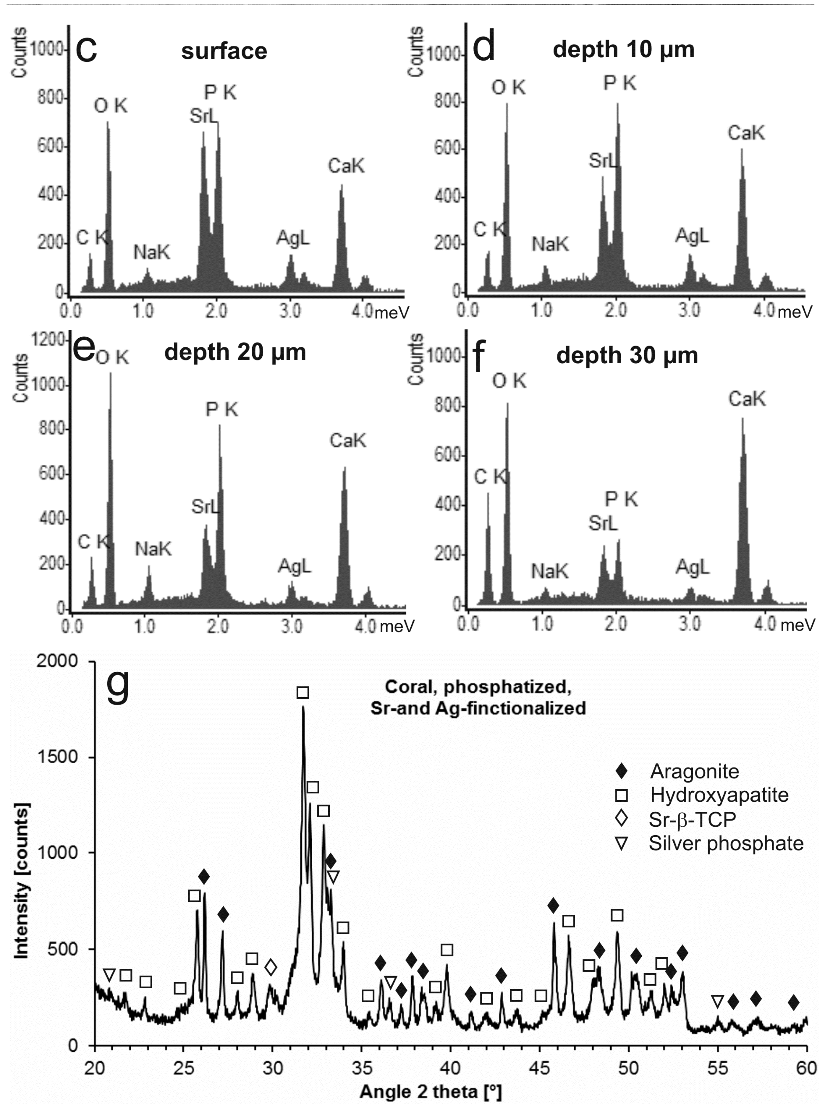 Jfb 09 00067 g001b Jfb 09 00067 g001b