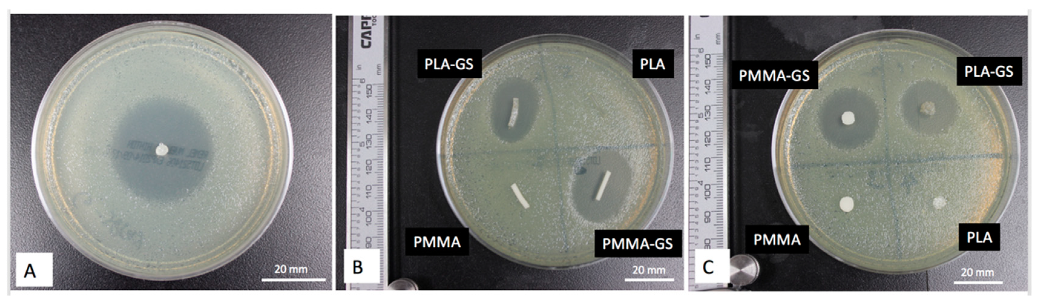 Jfb 10 00017 g010 Jfb 10 00017 g010