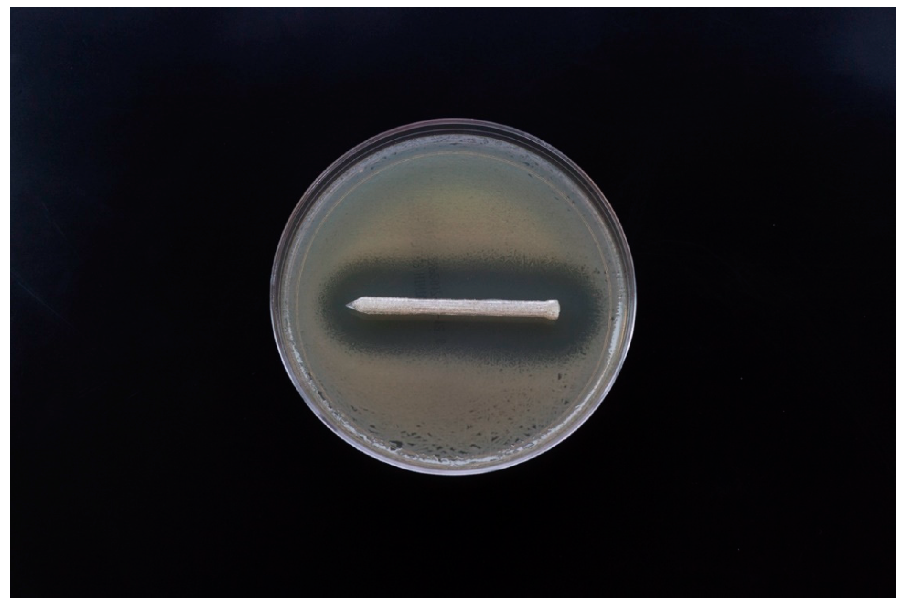 Jfb 10 00017 g013 Jfb 10 00017 g013