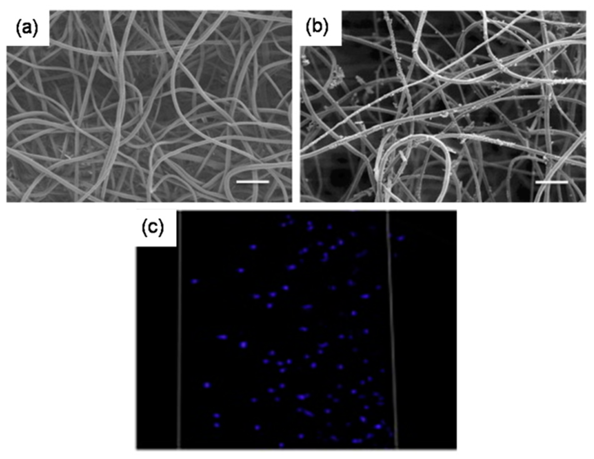 Jfb 10 00030 g010 Jfb 10 00030 g010