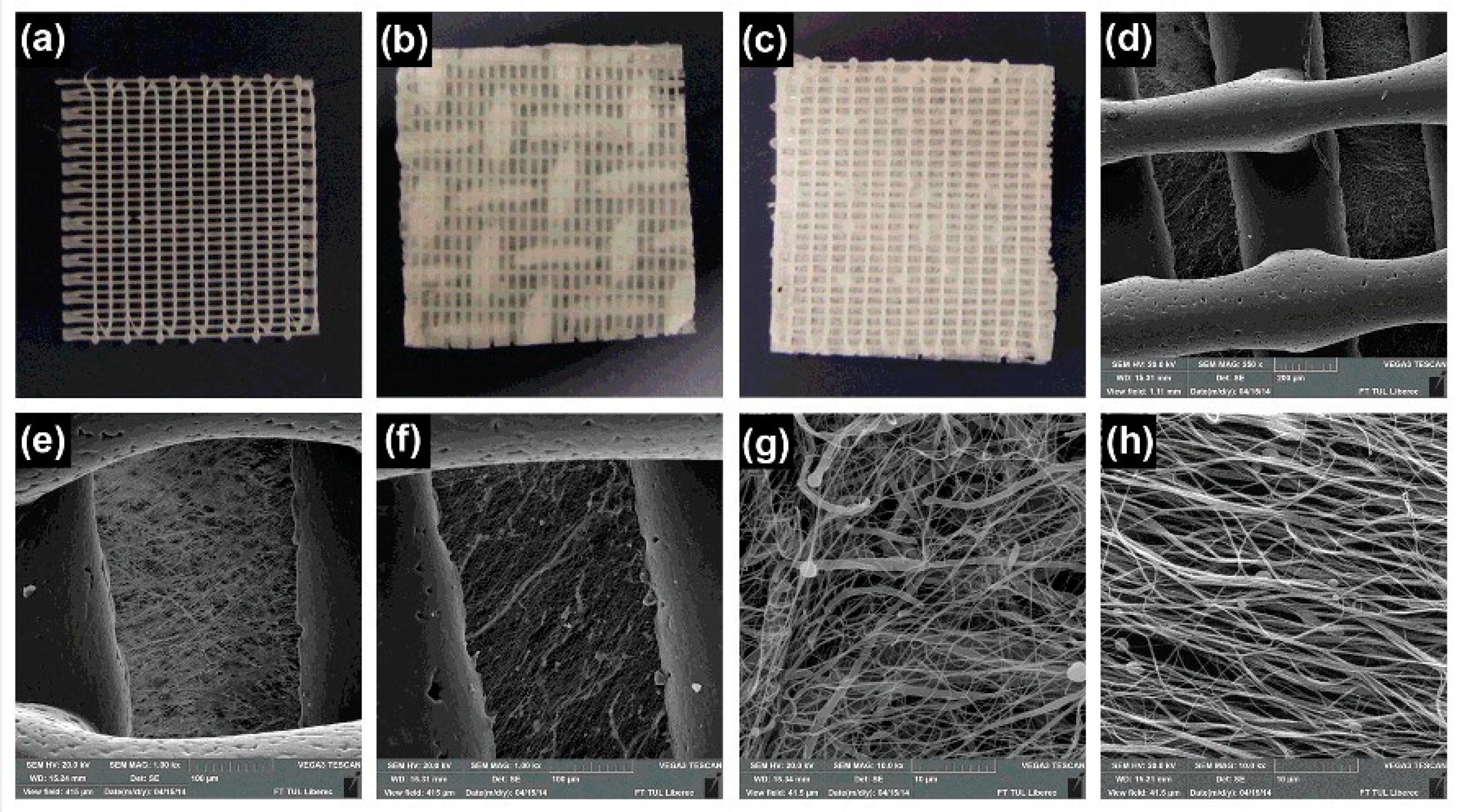 Jfb 10 00030 g016 Jfb 10 00030 g016