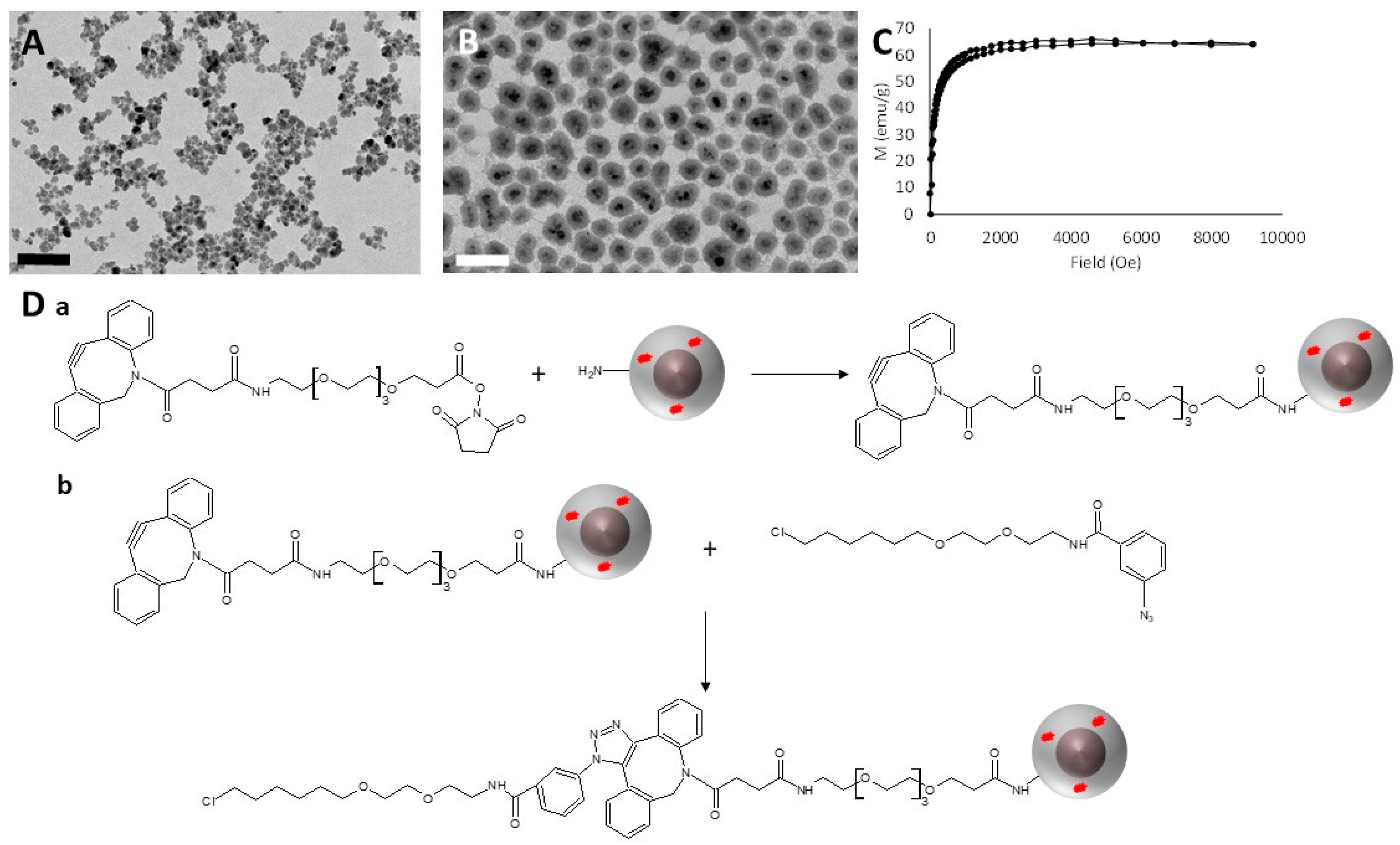 Jfb 10 00032 g001 Jfb 10 00032 g001
