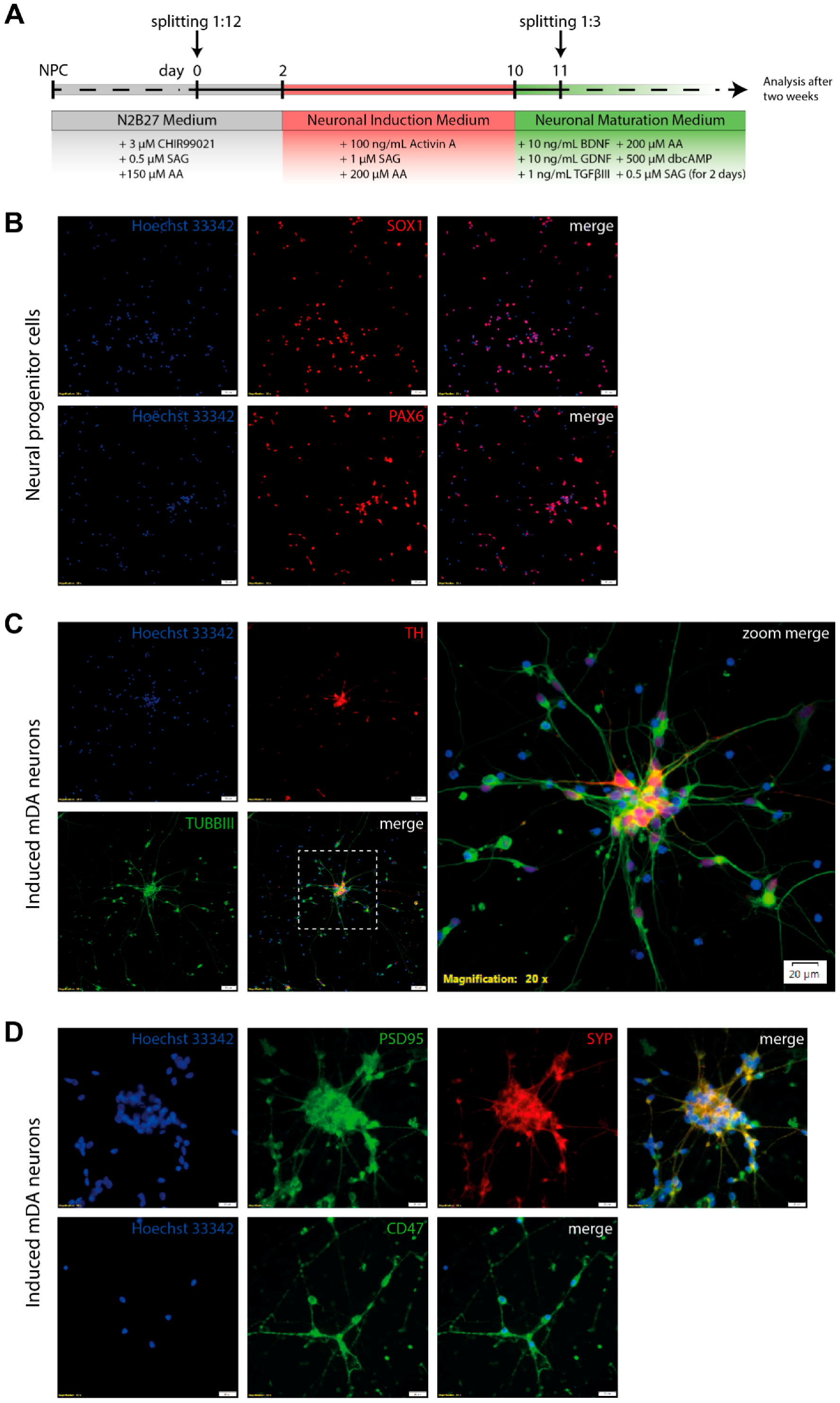 Jfb 10 00032 g004 Jfb 10 00032 g004