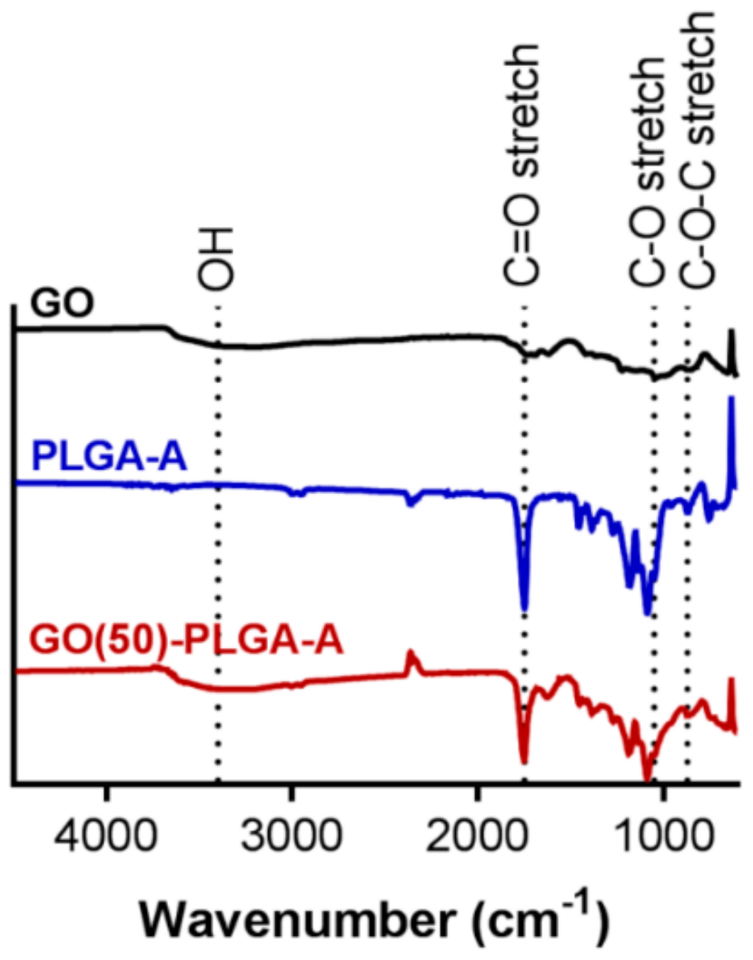 Jfb 10 00033 g002 Jfb 10 00033 g002