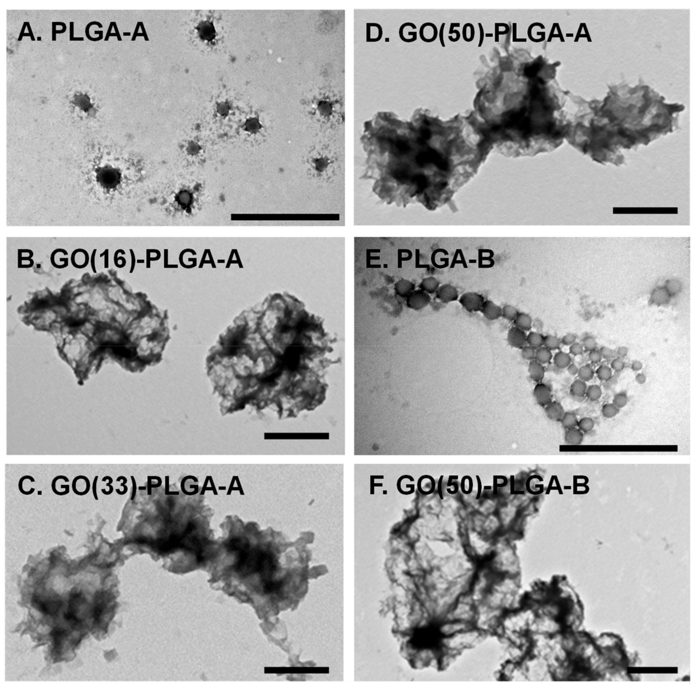 Jfb 10 00033 g003 Jfb 10 00033 g003