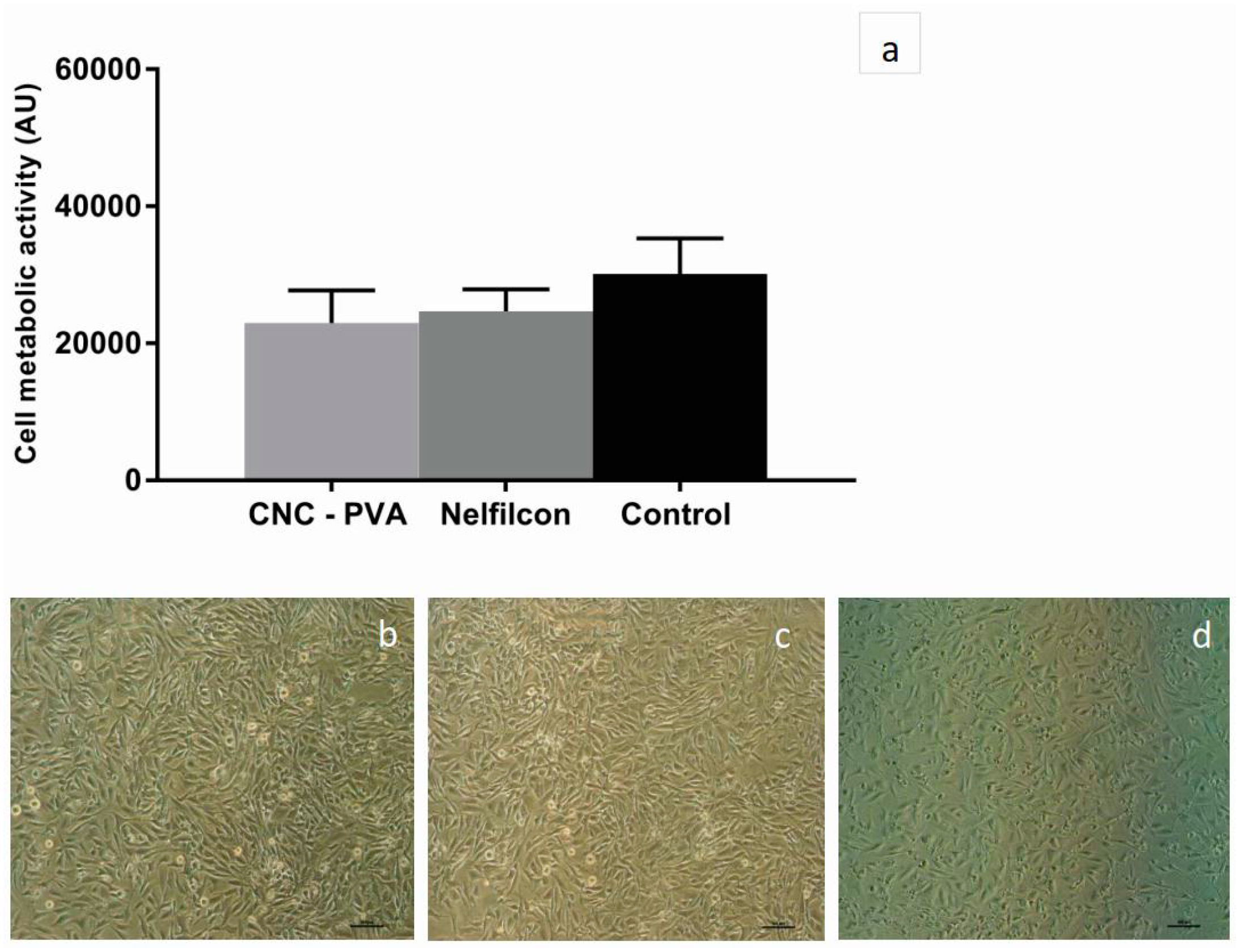 Jfb 10 00035 g002 Jfb 10 00035 g002