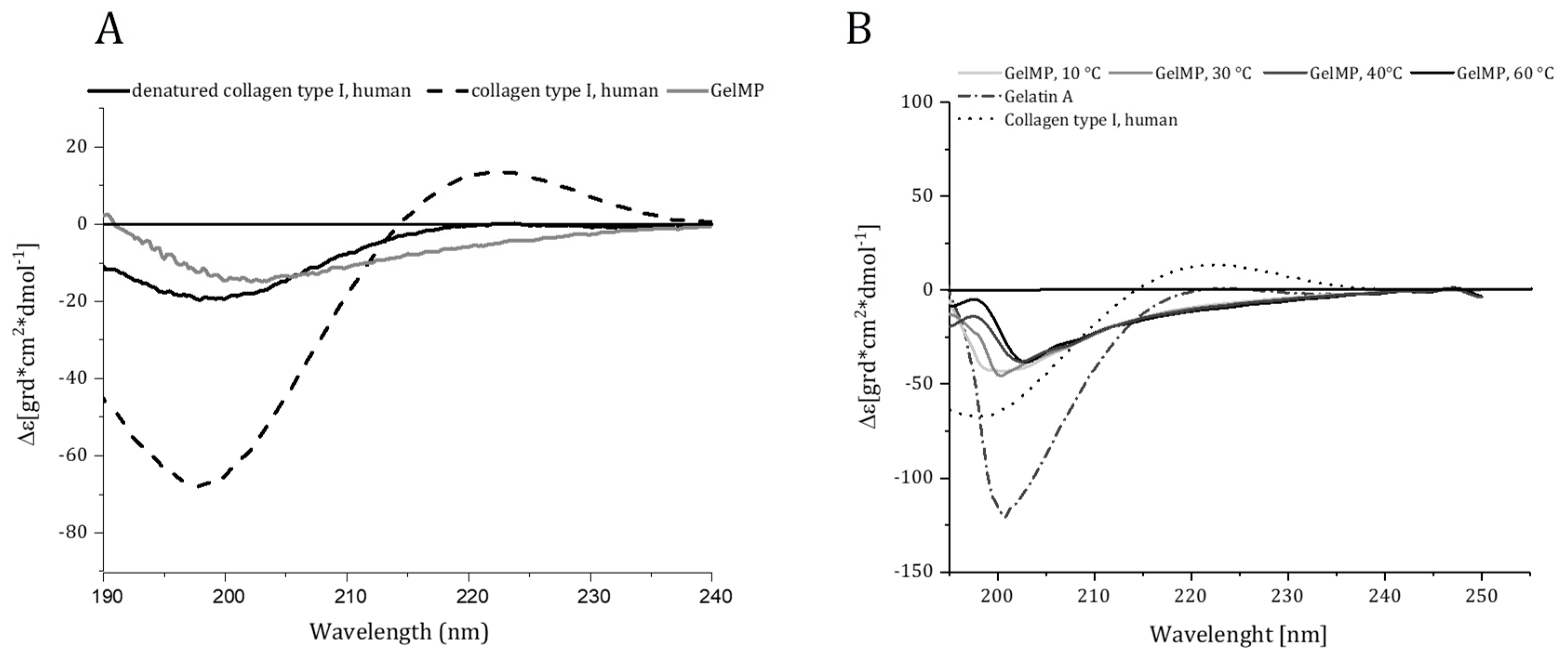 Jfb 10 00039 g003 550
