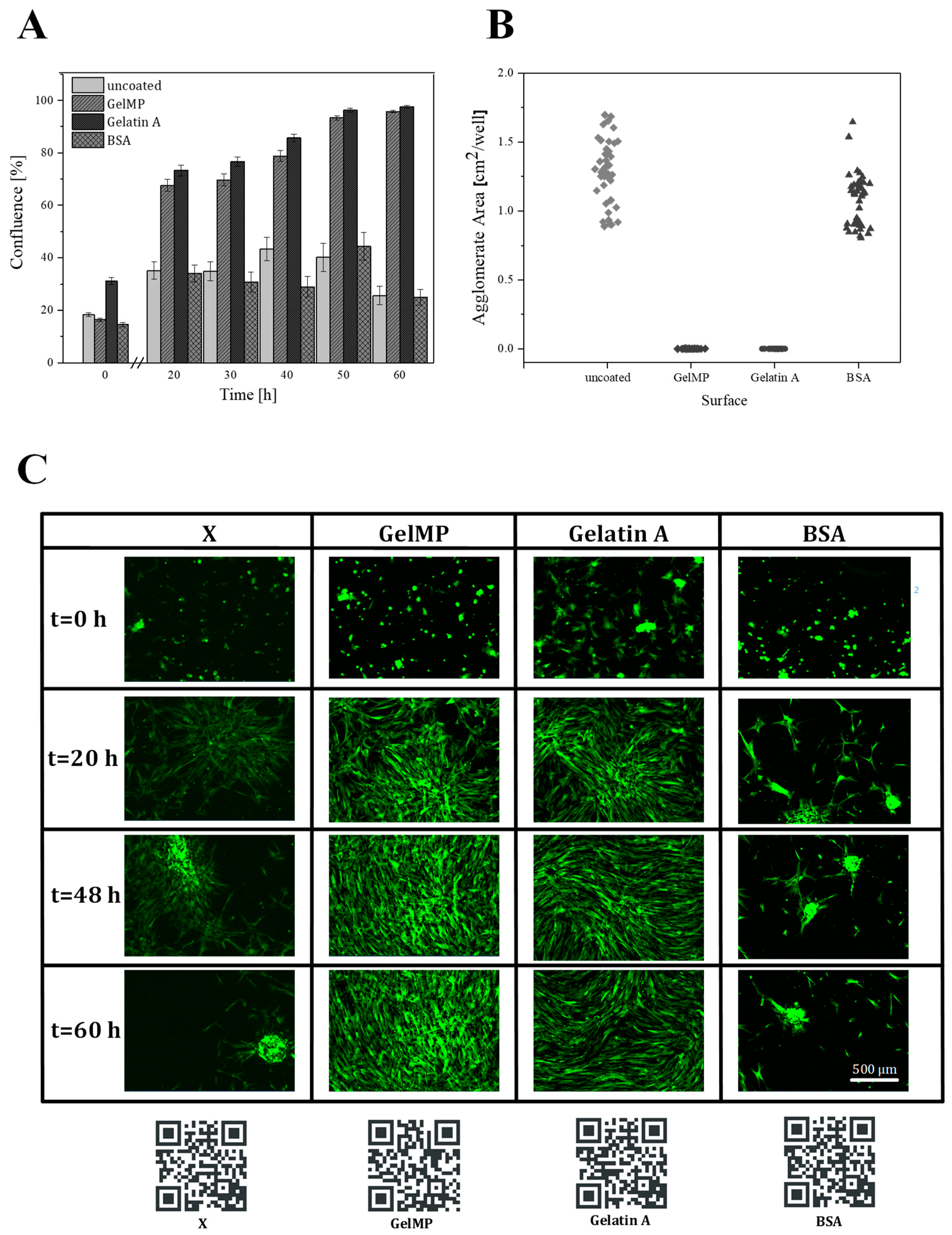 Jfb 10 00039 g006 550