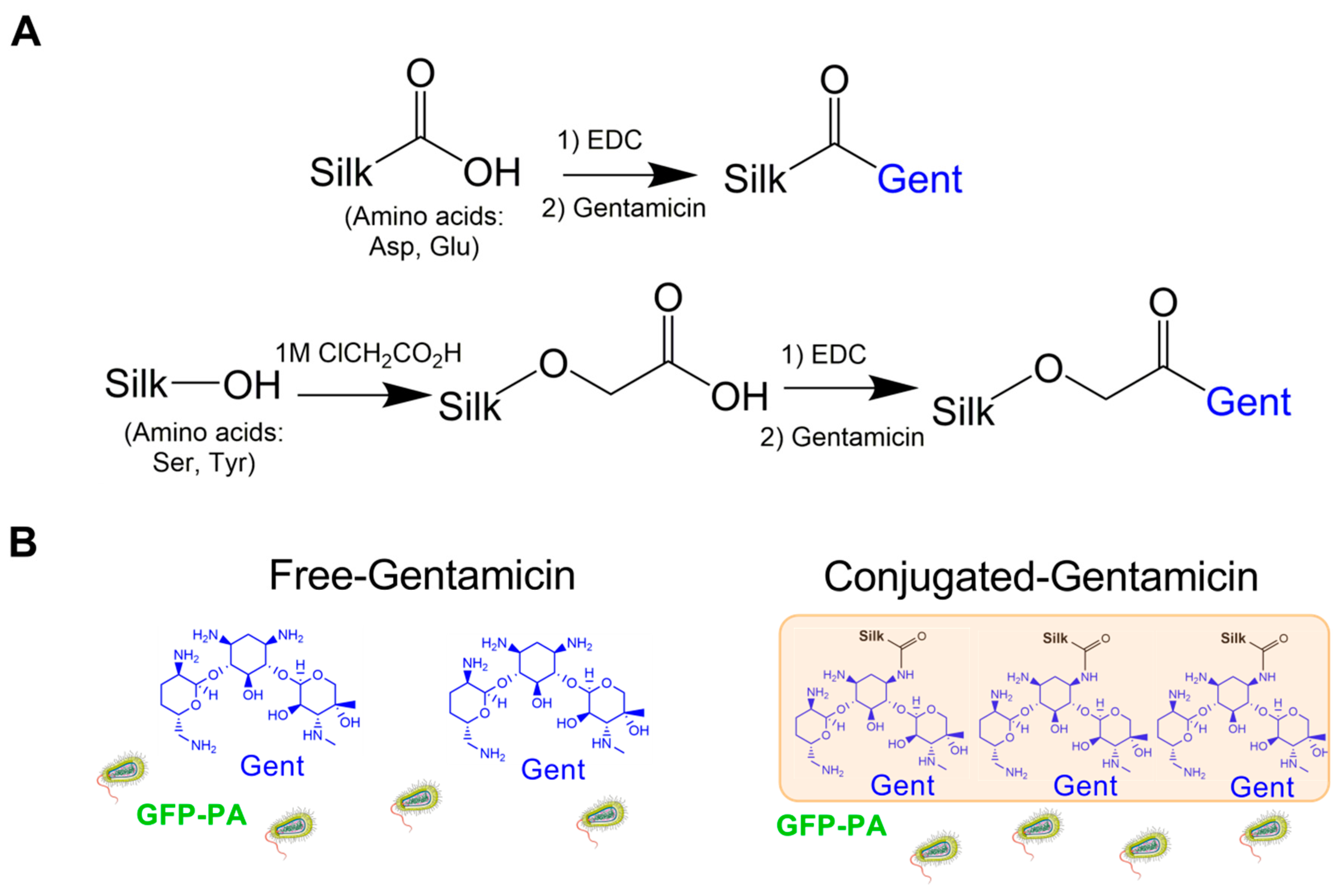 Jfb 10 00041 g001 Jfb 10 00041 g001