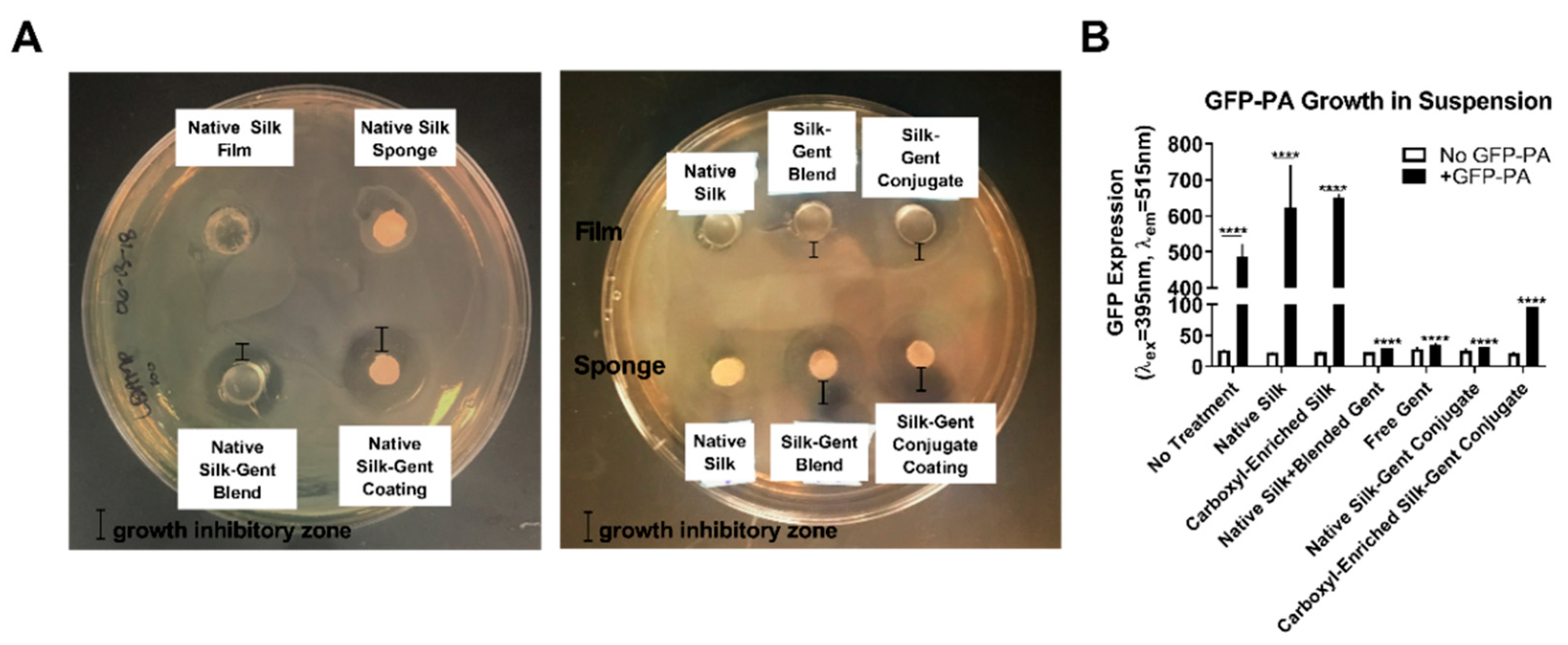 Jfb 10 00041 g004 Jfb 10 00041 g004