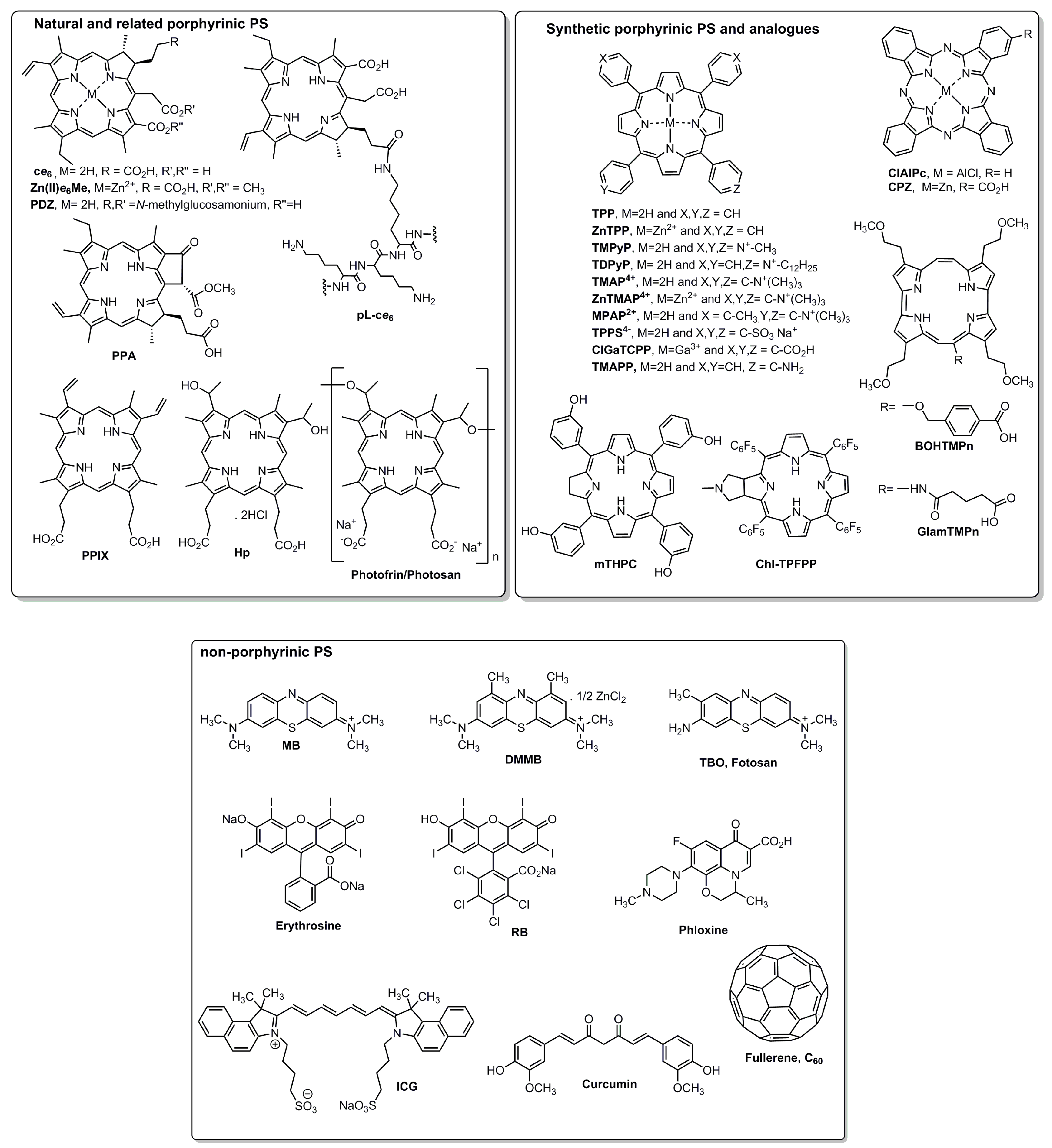 Jfb 10 00044 g002 Jfb 10 00044 g002