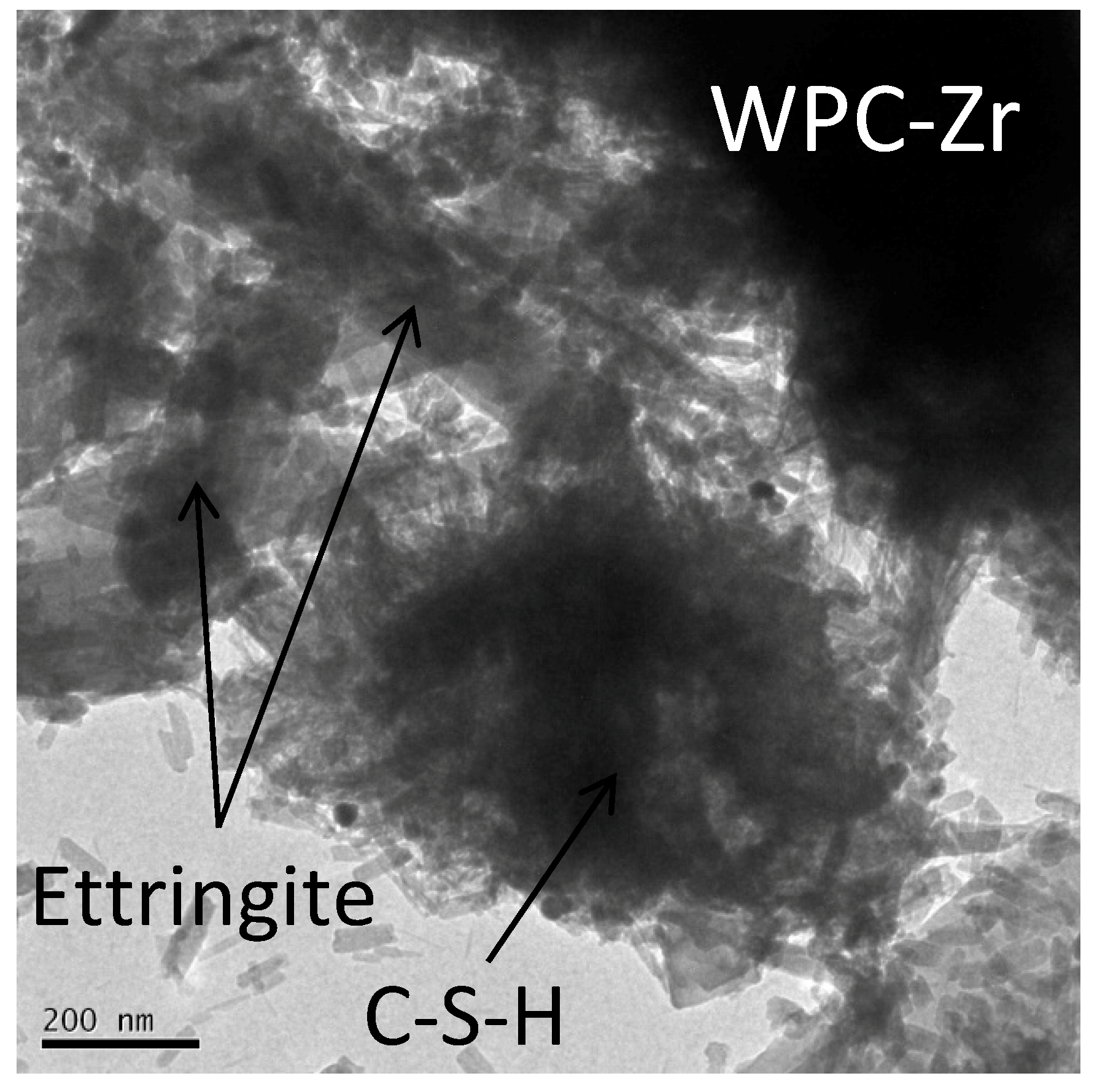 Jfb 10 00046 g006b Jfb 10 00046 g006b