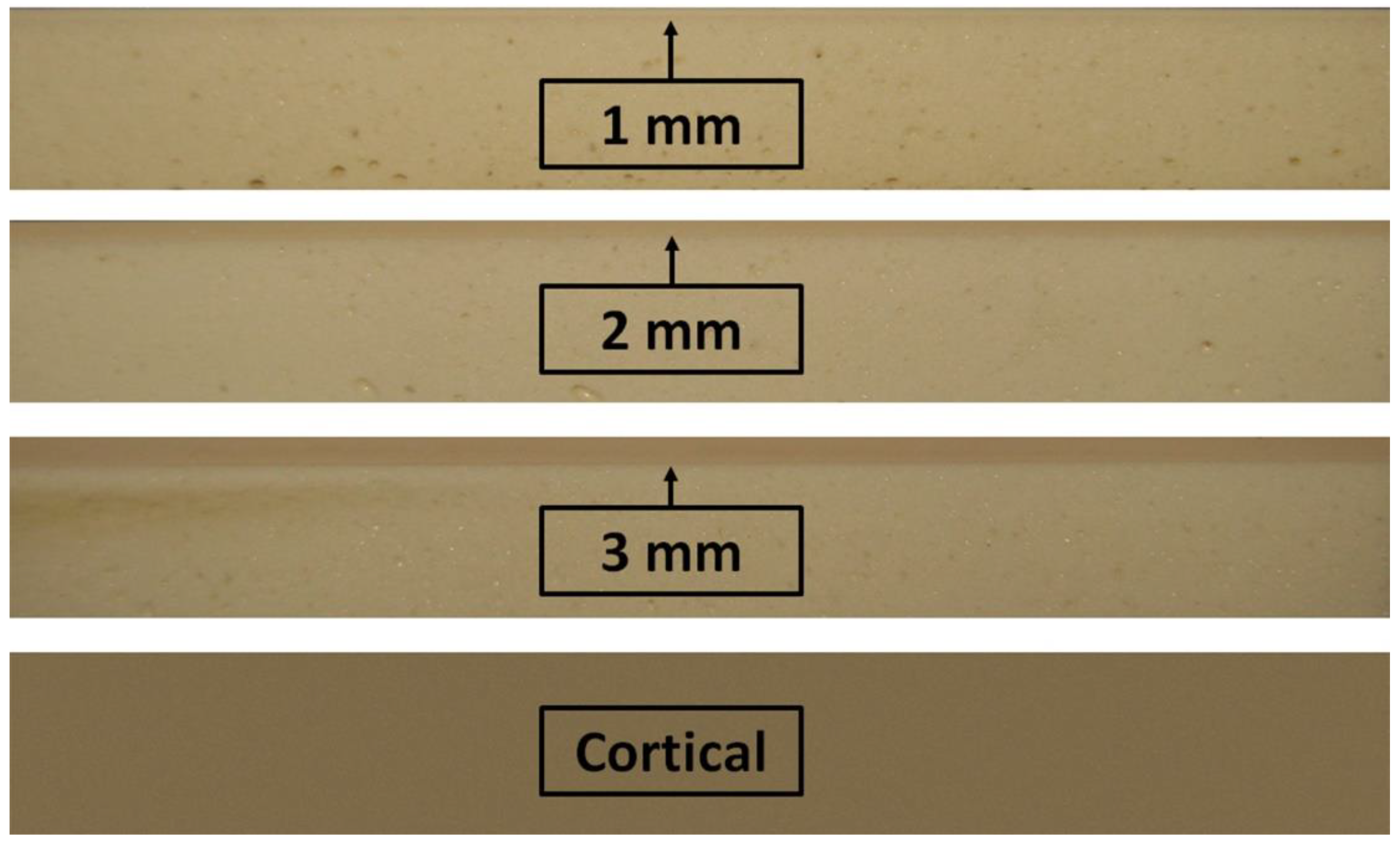 Jfb 10 00047 g002 Jfb 10 00047 g002