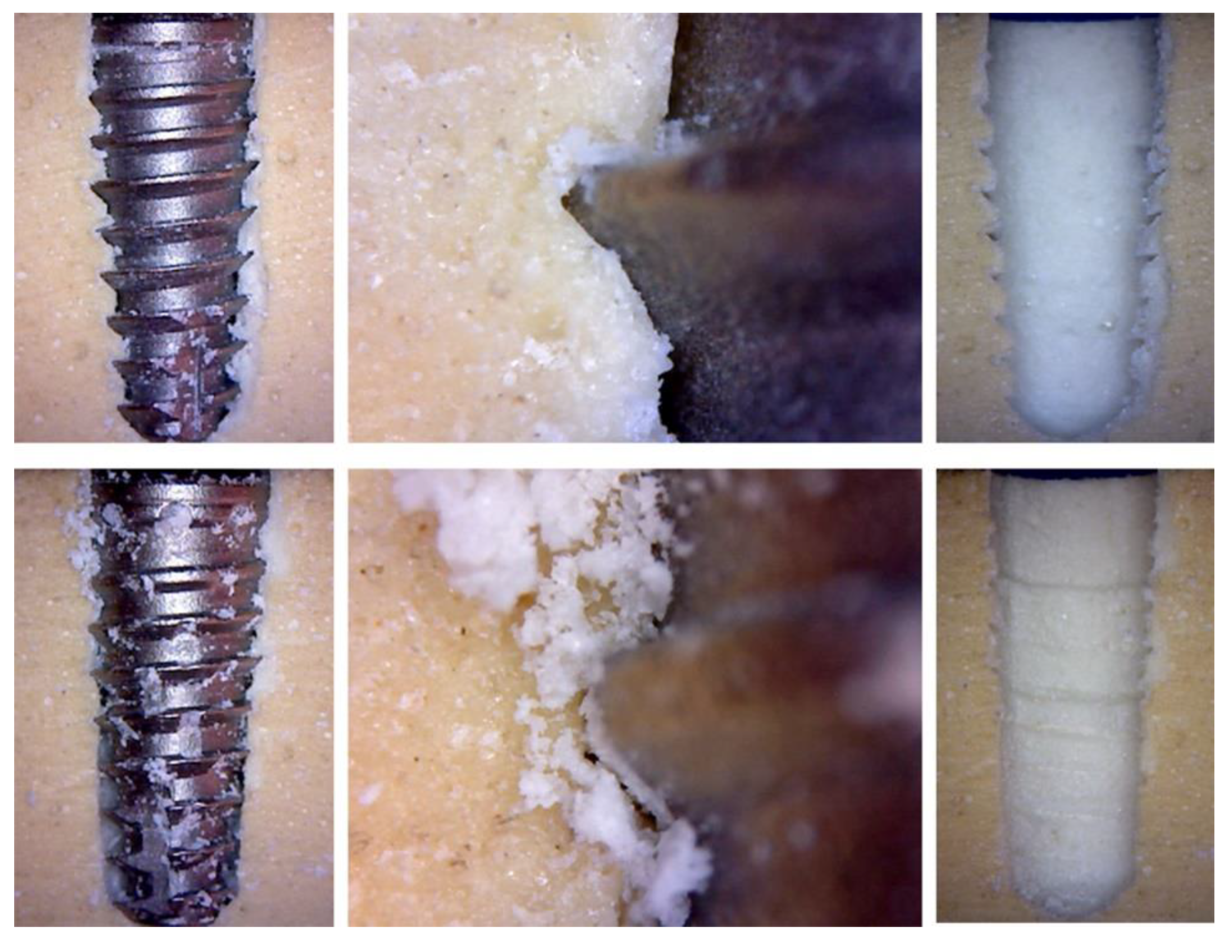 Jfb 10 00047 g011 Jfb 10 00047 g011