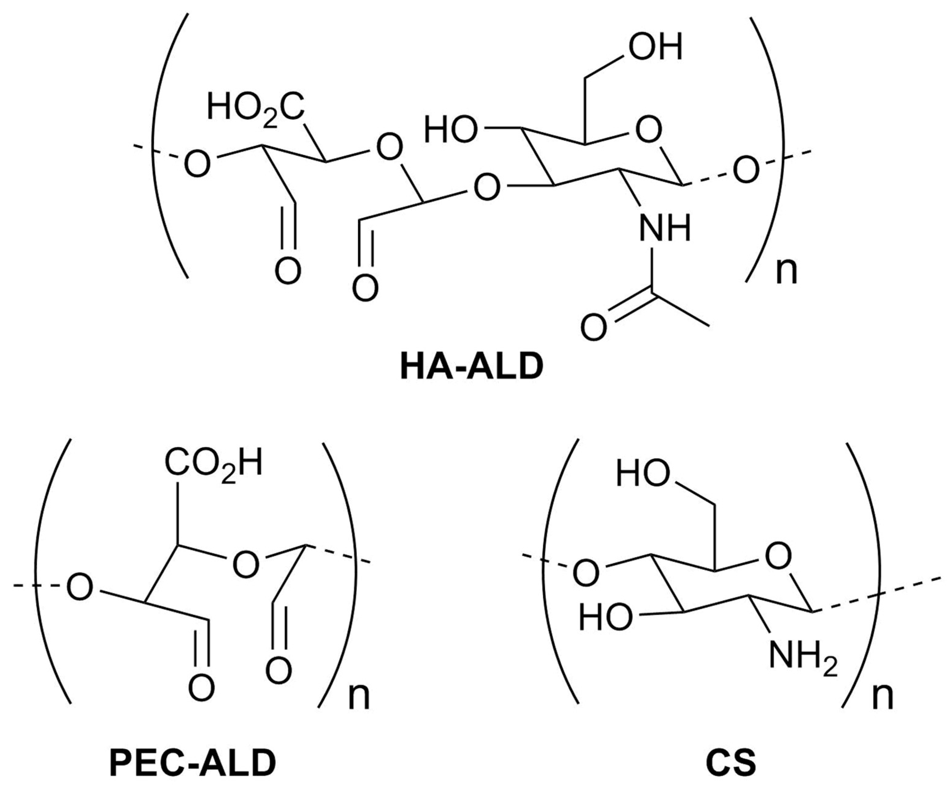 Jfb 10 00050 g001 Jfb 10 00050 g001