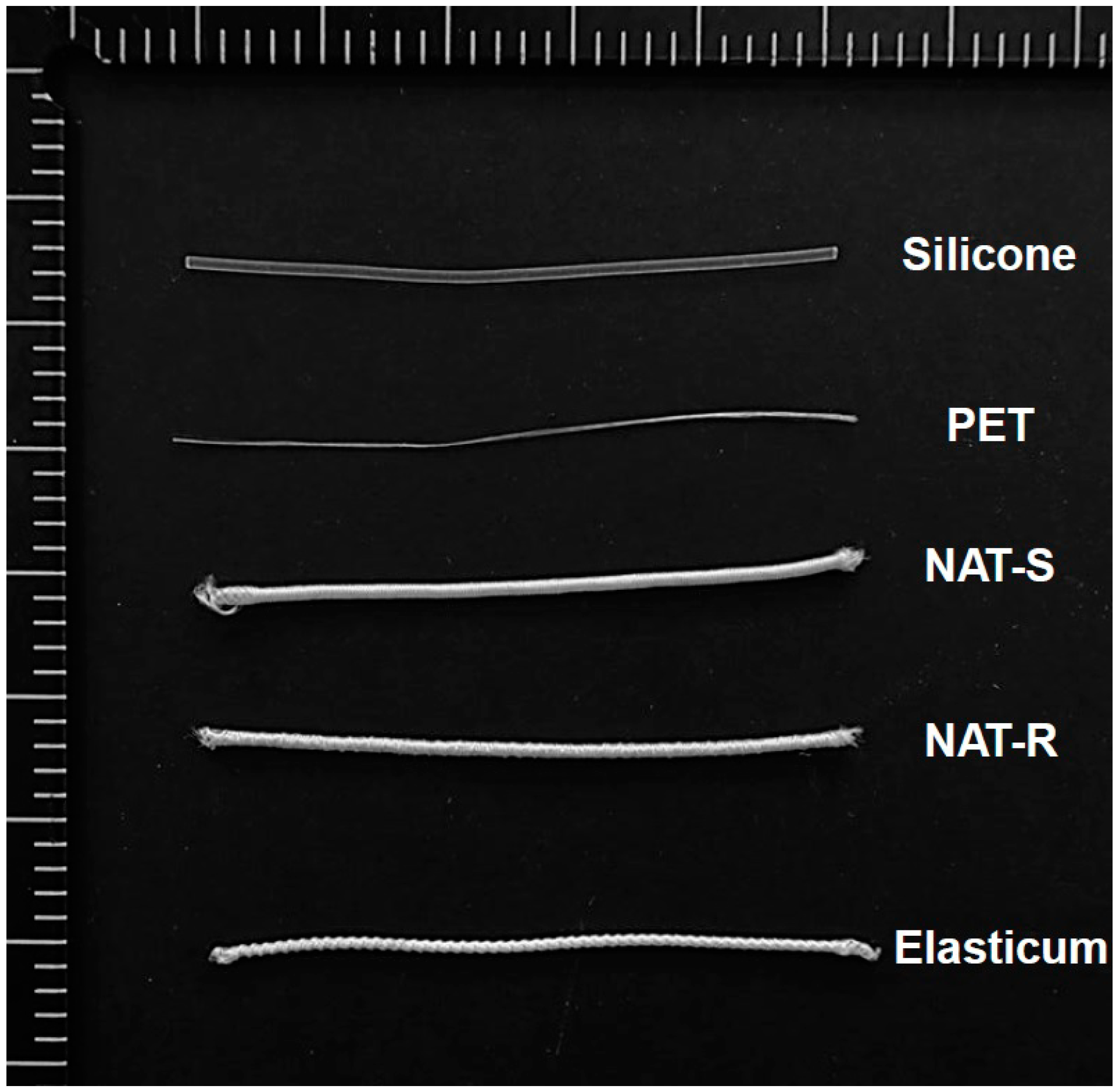 Jfb 10 00051 g001 Jfb 10 00051 g001