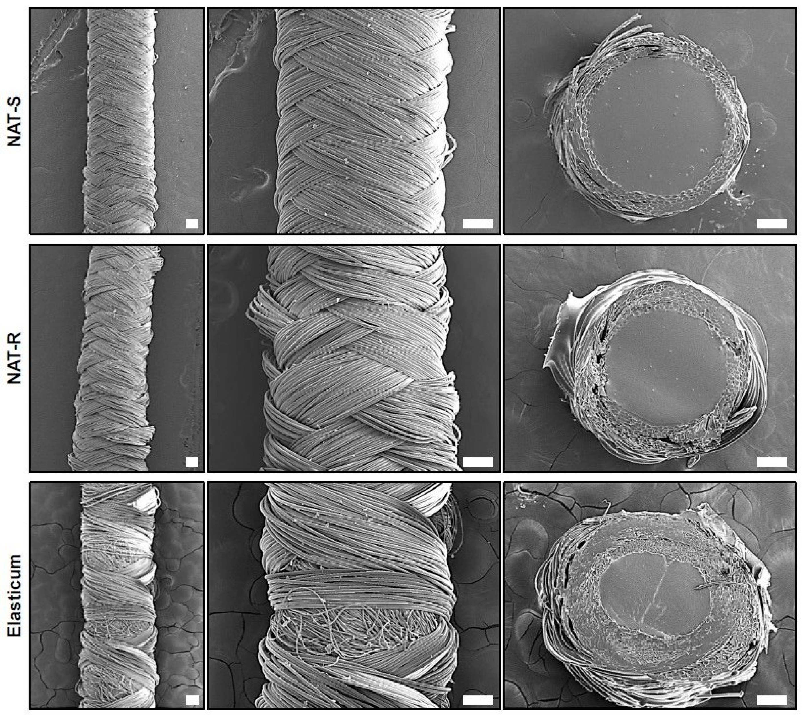 Jfb 10 00051 g002 Jfb 10 00051 g002