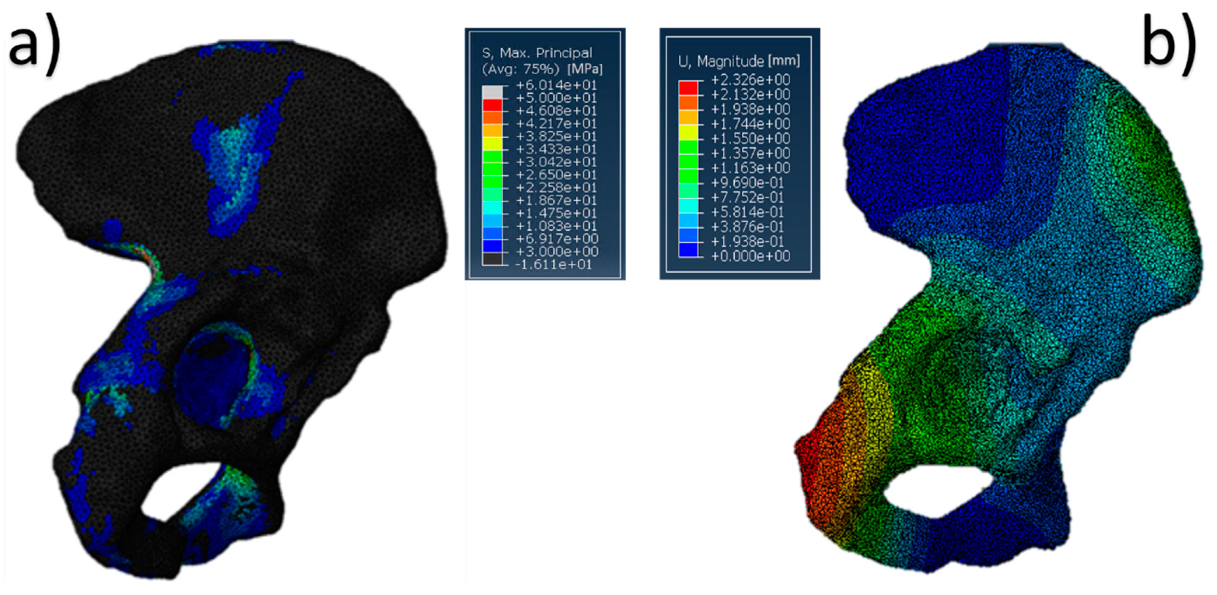 Jfb 10 00053 g005 Jfb 10 00053 g005