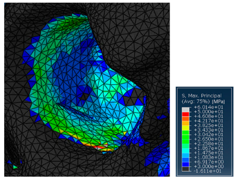 Jfb 10 00053 g006 Jfb 10 00053 g006