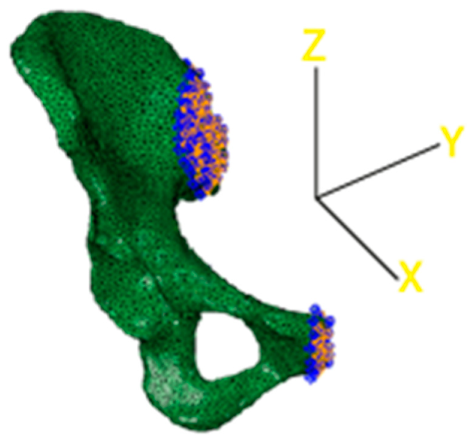 Jfb 10 00053 g007 Jfb 10 00053 g007