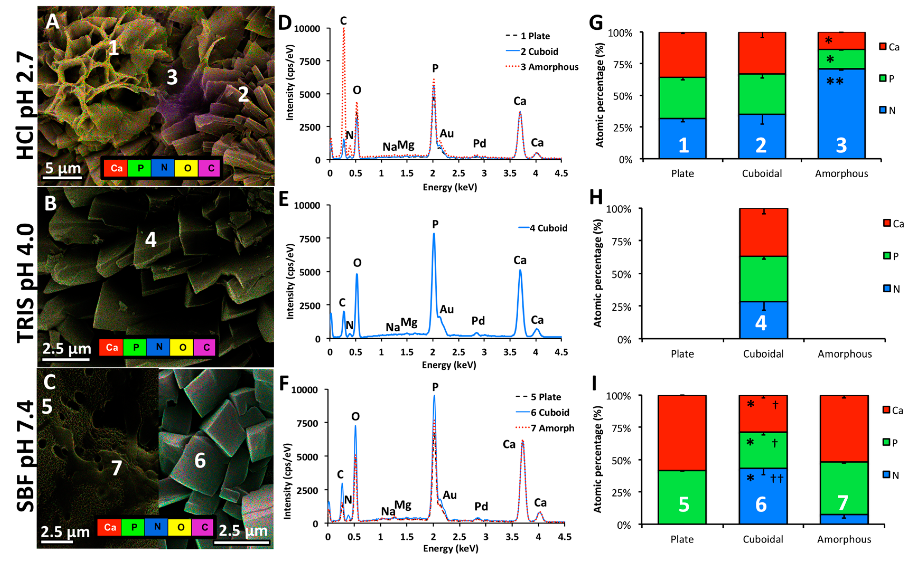 Jfb 10 00054 g007 Jfb 10 00054 g007